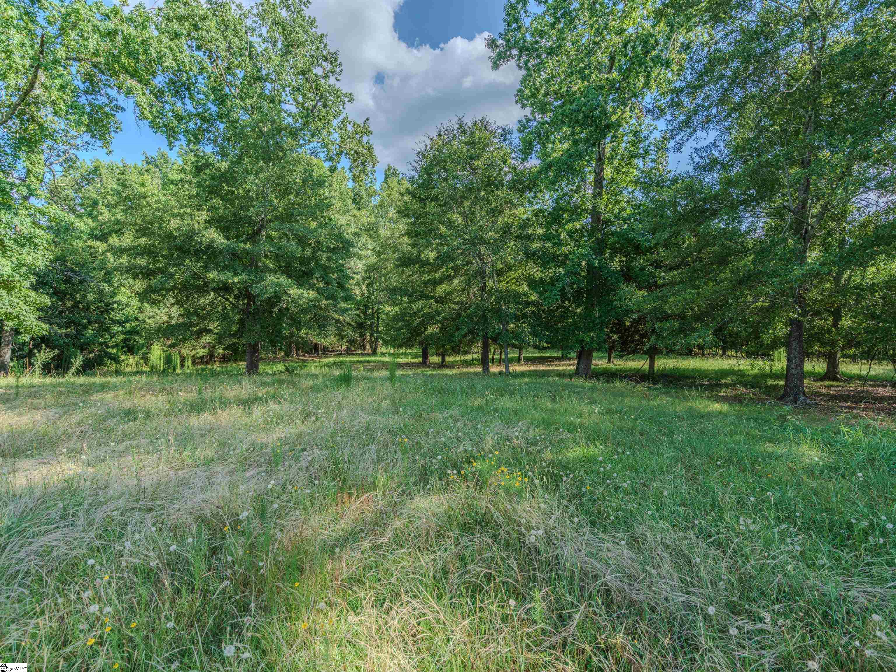734 W Ridgeway, Honea Path, South Carolina image 37