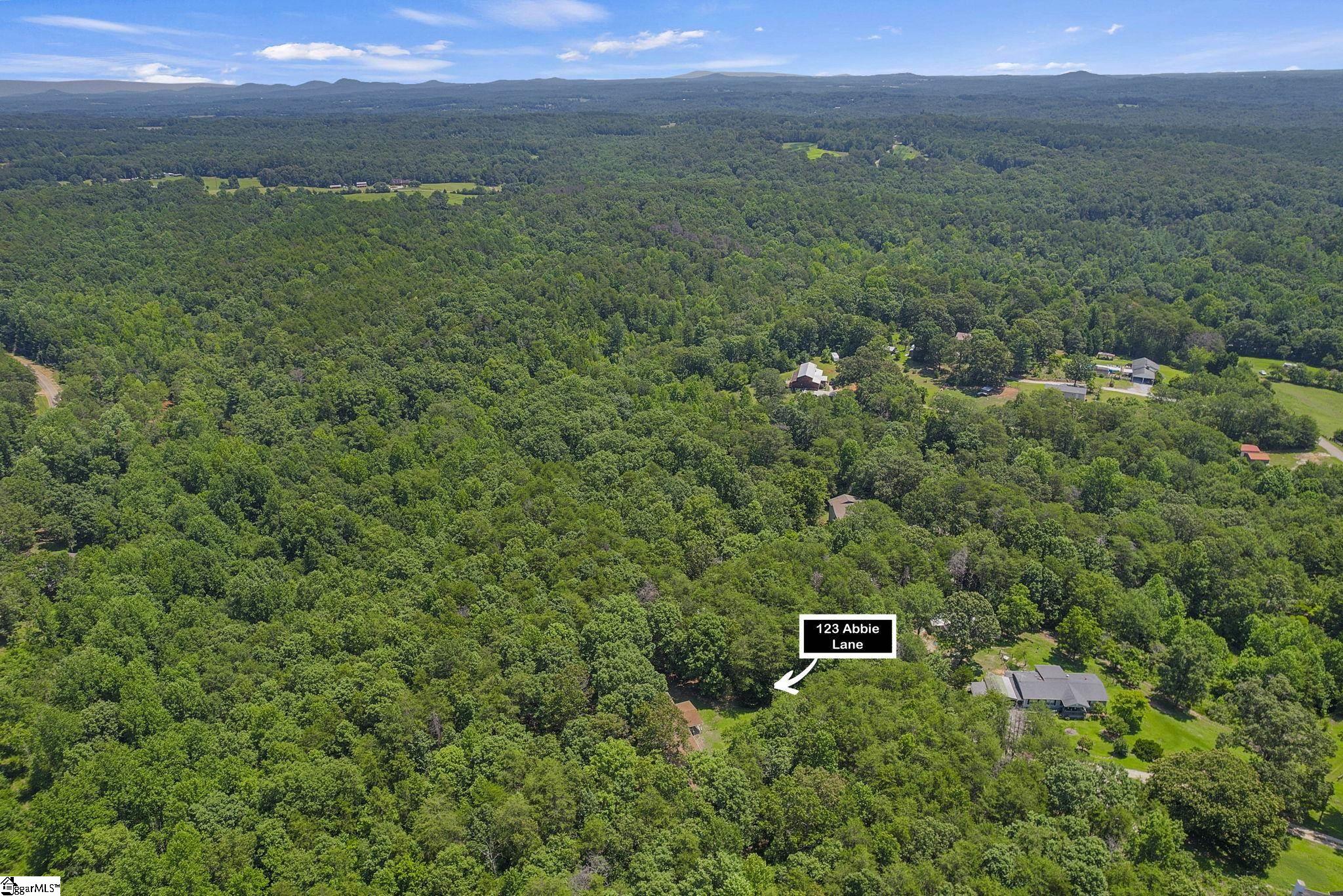 123 Abbie, Central, South Carolina image 11