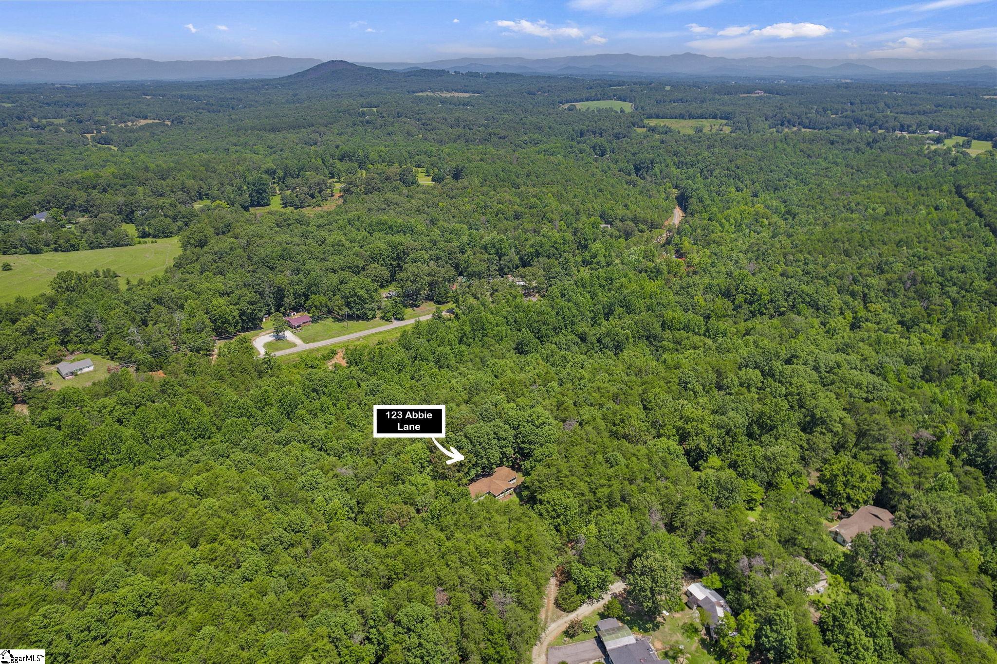123 Abbie, Central, South Carolina image 6