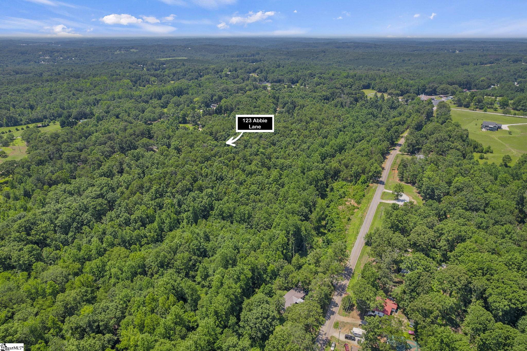 123 Abbie, Central, South Carolina image 9