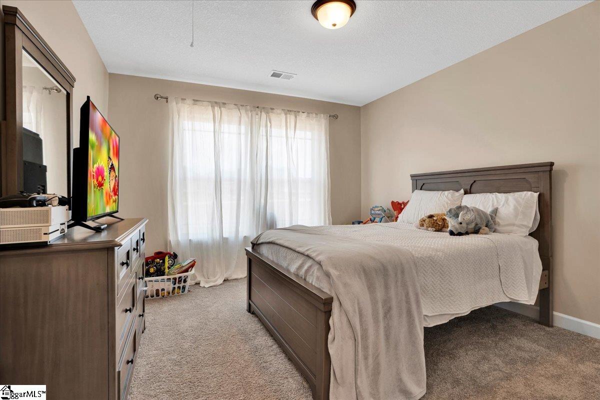 421 Willow, Campobello, South Carolina image 19