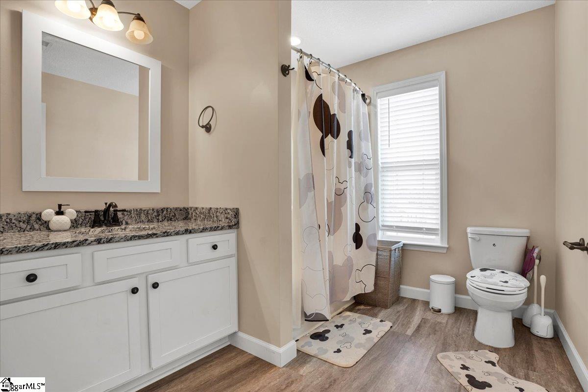 421 Willow, Campobello, South Carolina image 24
