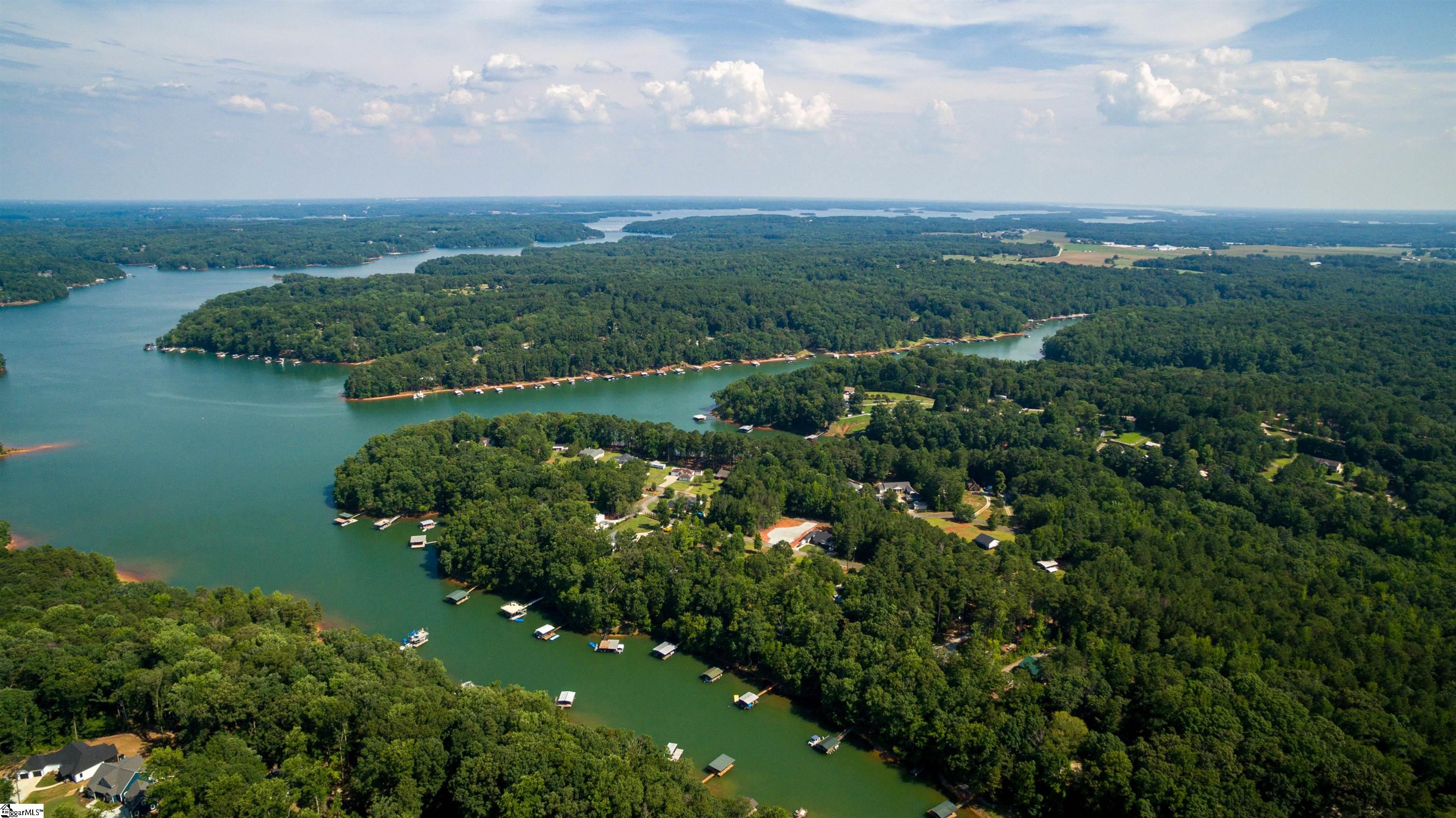 Rochester, Townville, South Carolina image 11
