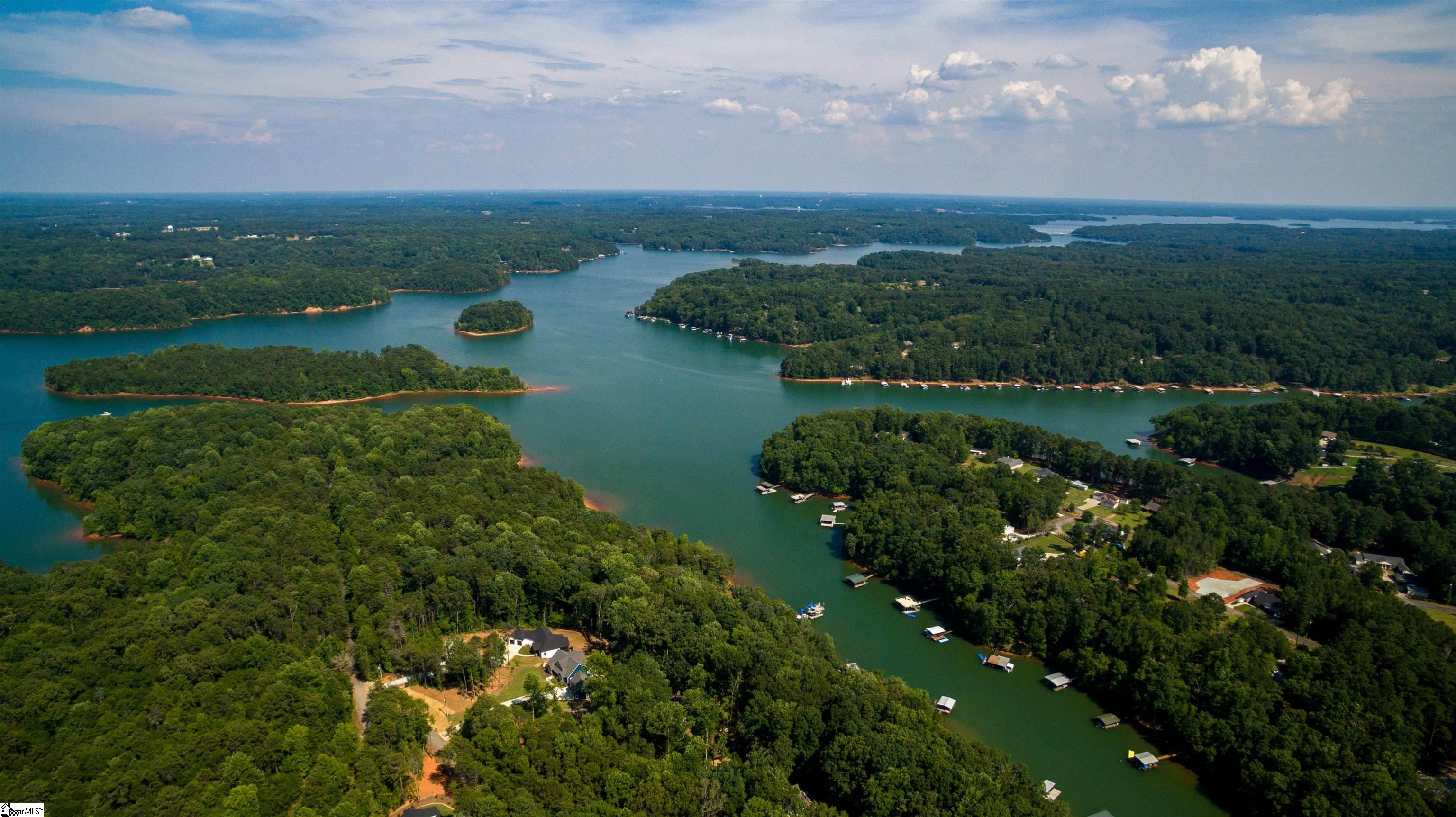 Rochester, Townville, South Carolina image 12