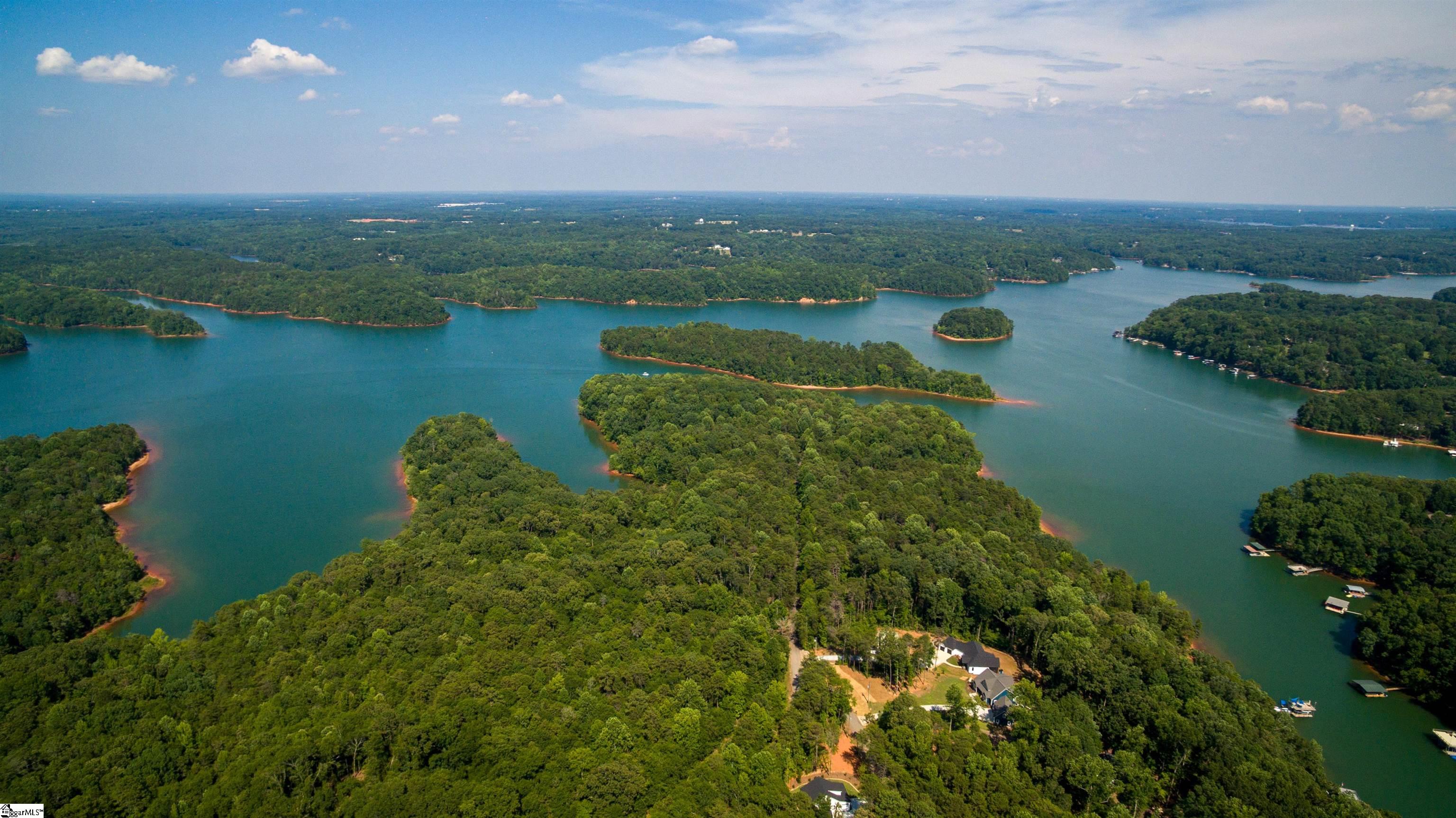 Rochester, Townville, South Carolina image 13