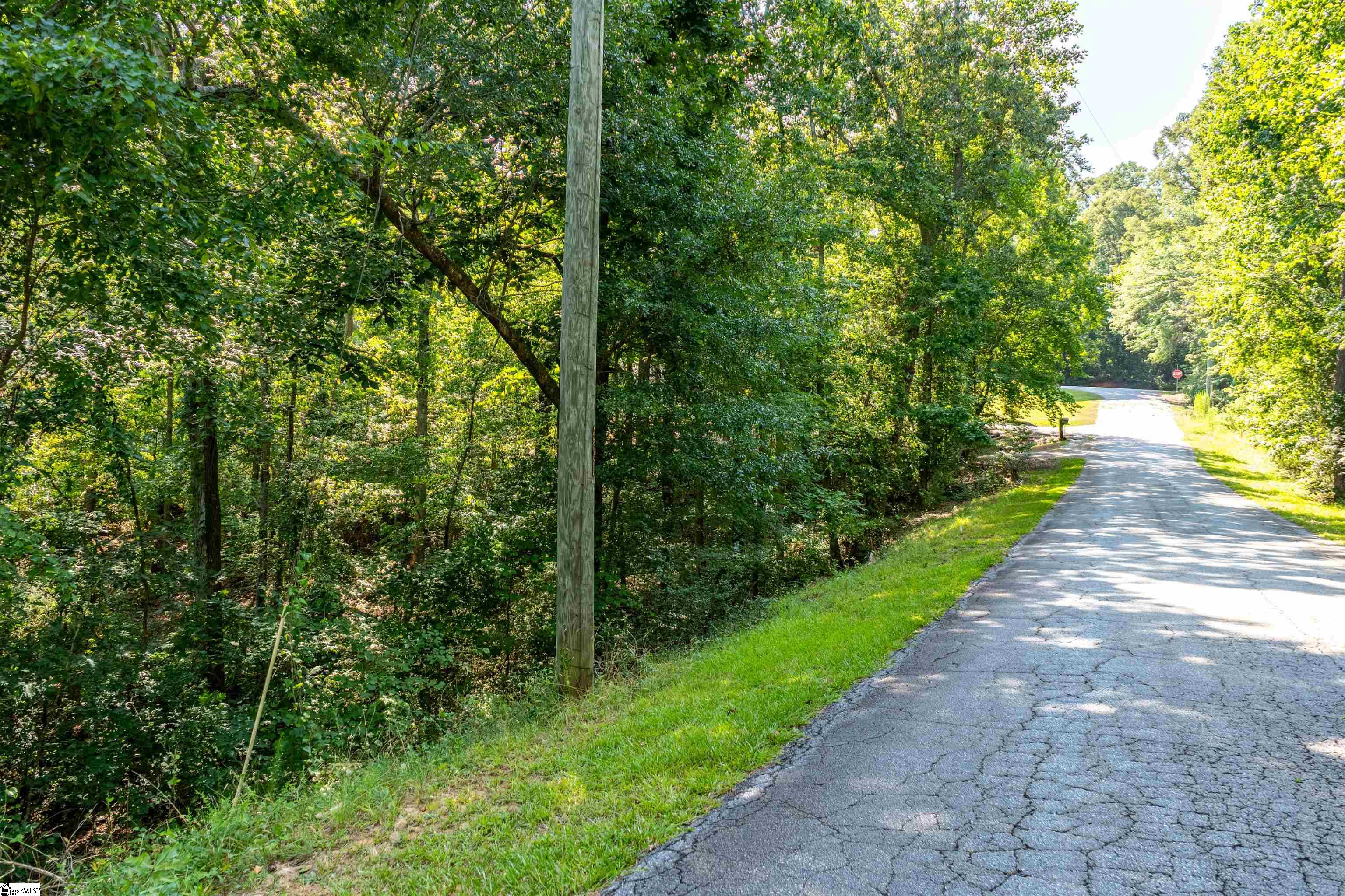 Rochester, Townville, South Carolina image 4