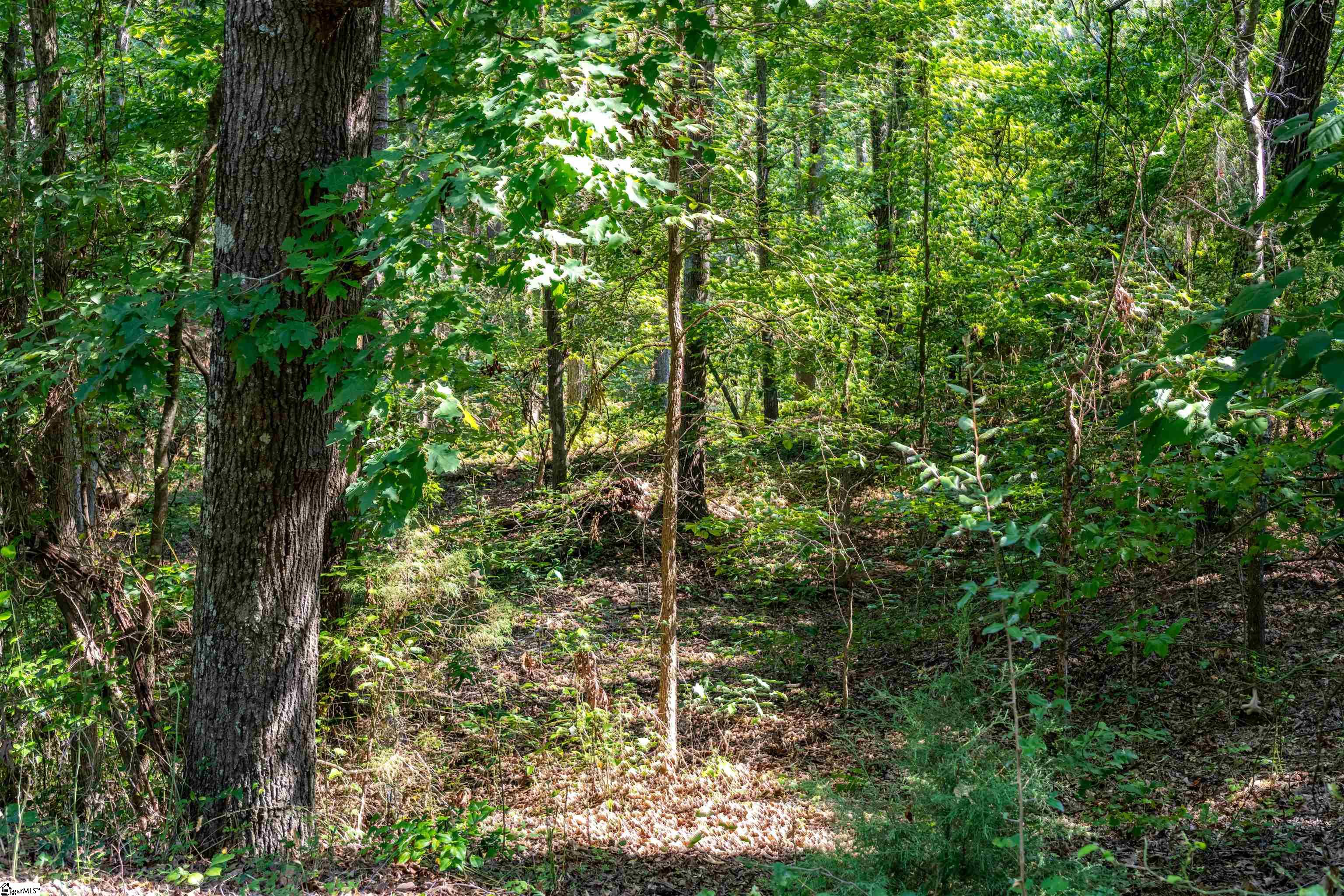 Rochester, Townville, South Carolina image 5