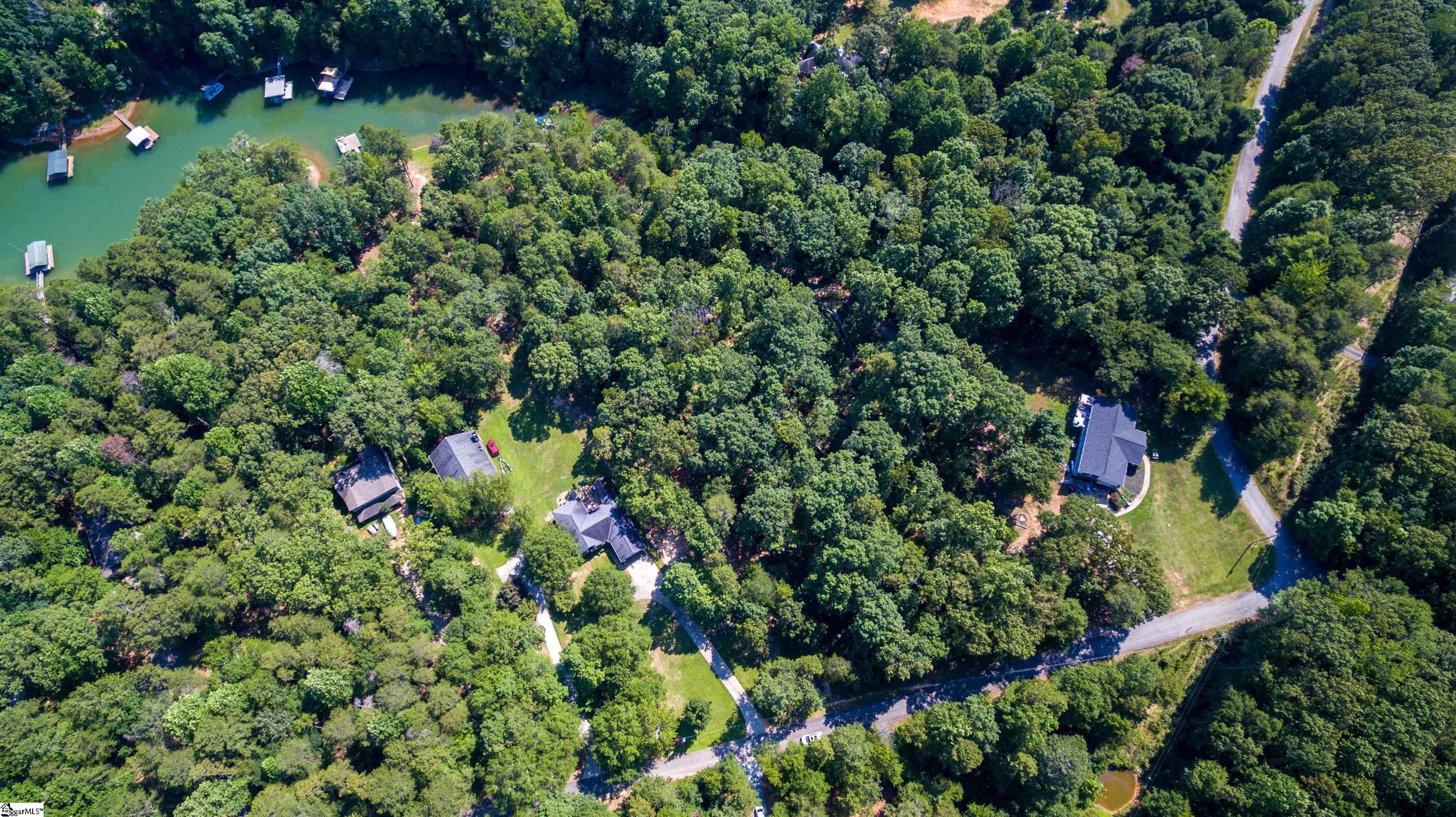 Rochester, Townville, South Carolina image 6