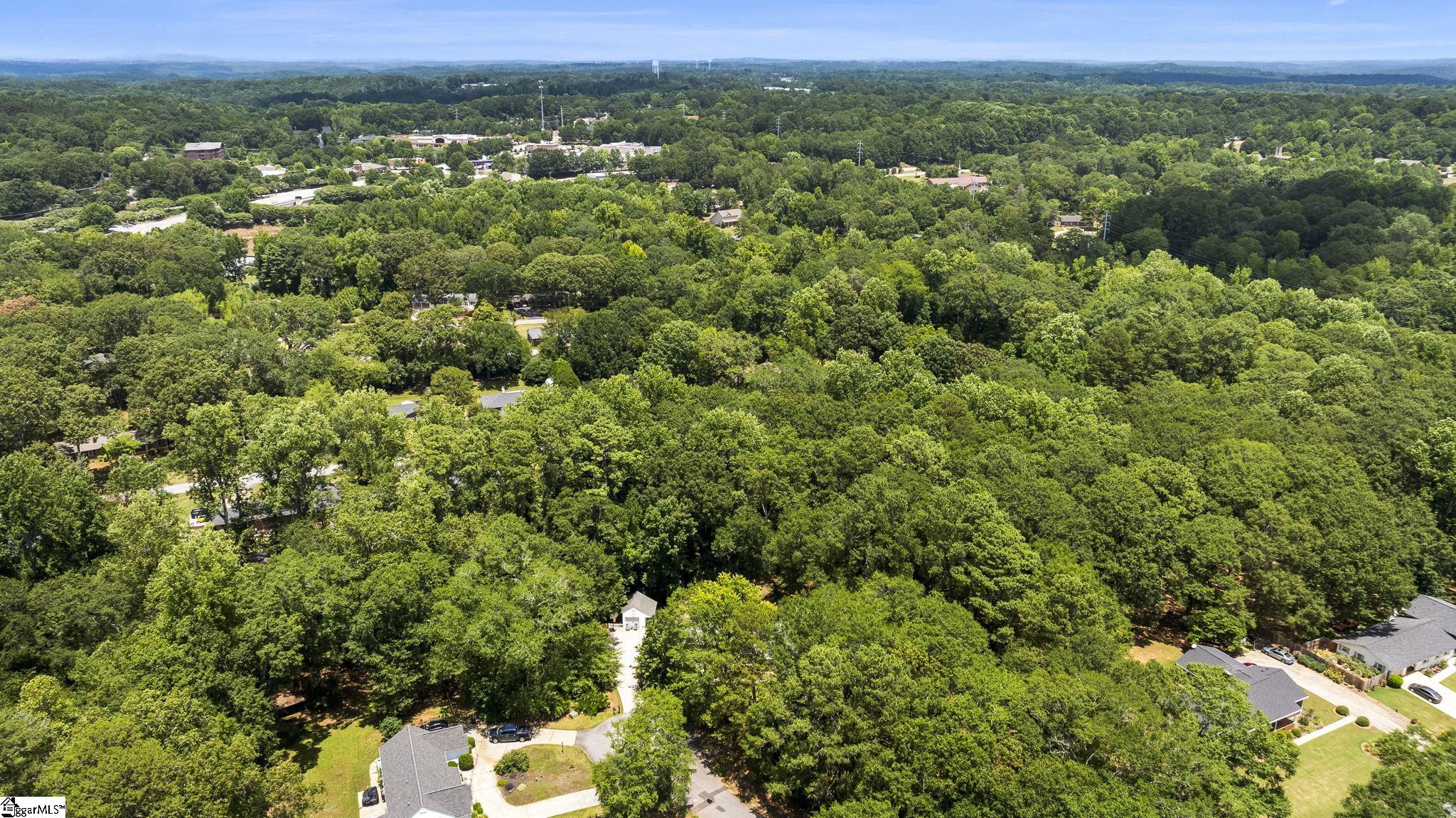 113 Roslyn, Clemson, South Carolina image 29