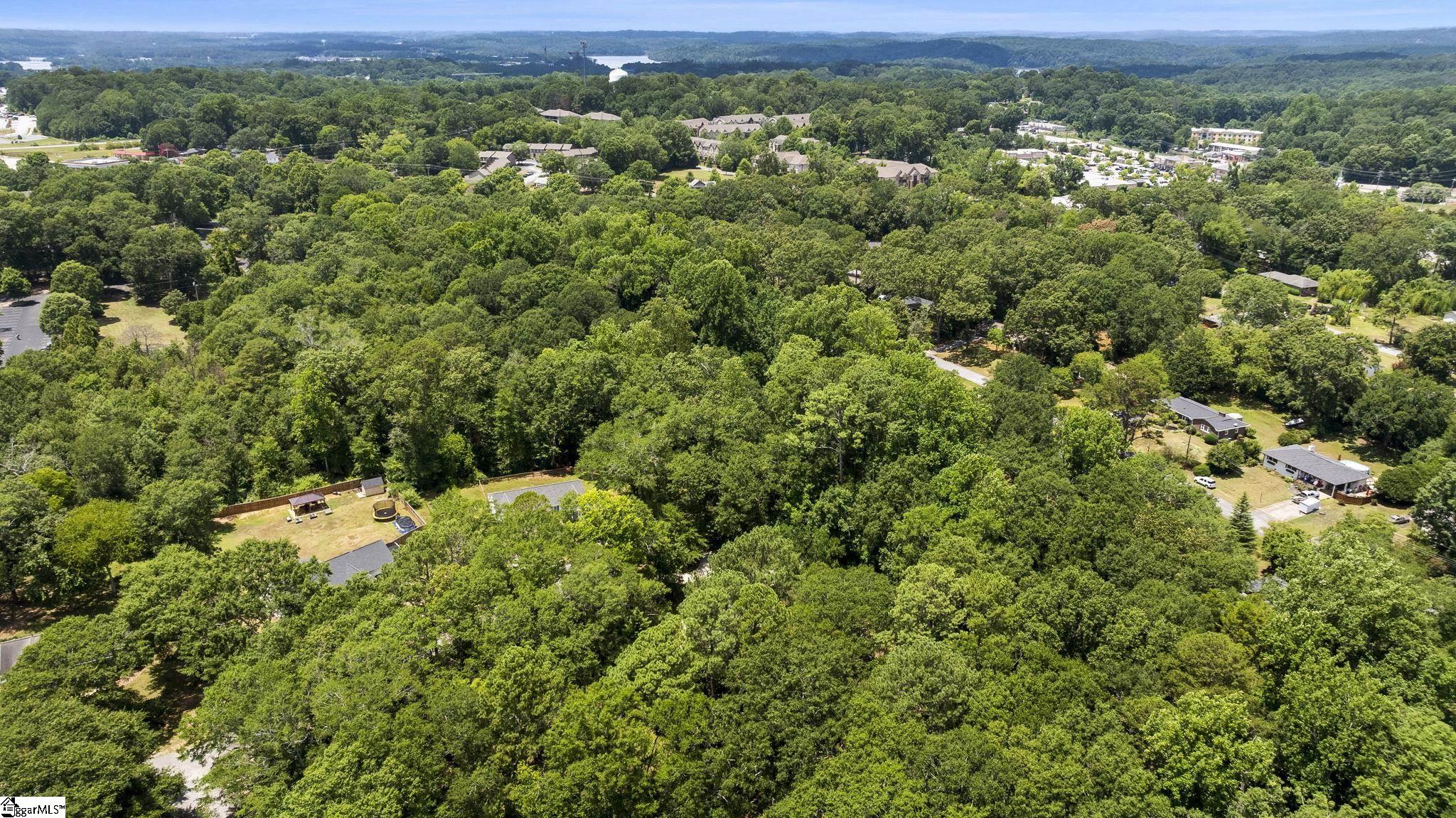 113 Roslyn, Clemson, South Carolina image 30