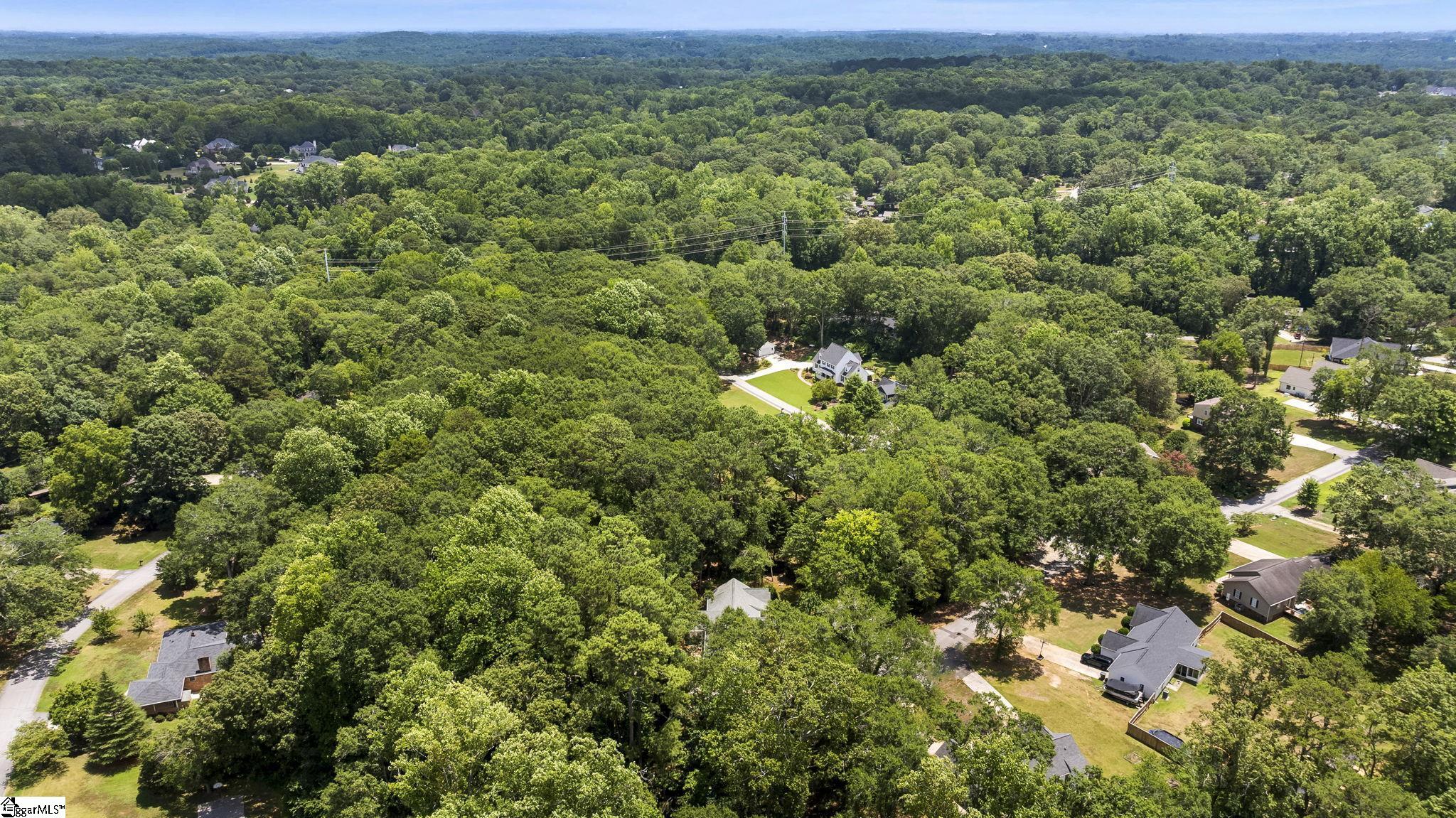 113 Roslyn, Clemson, South Carolina image 32
