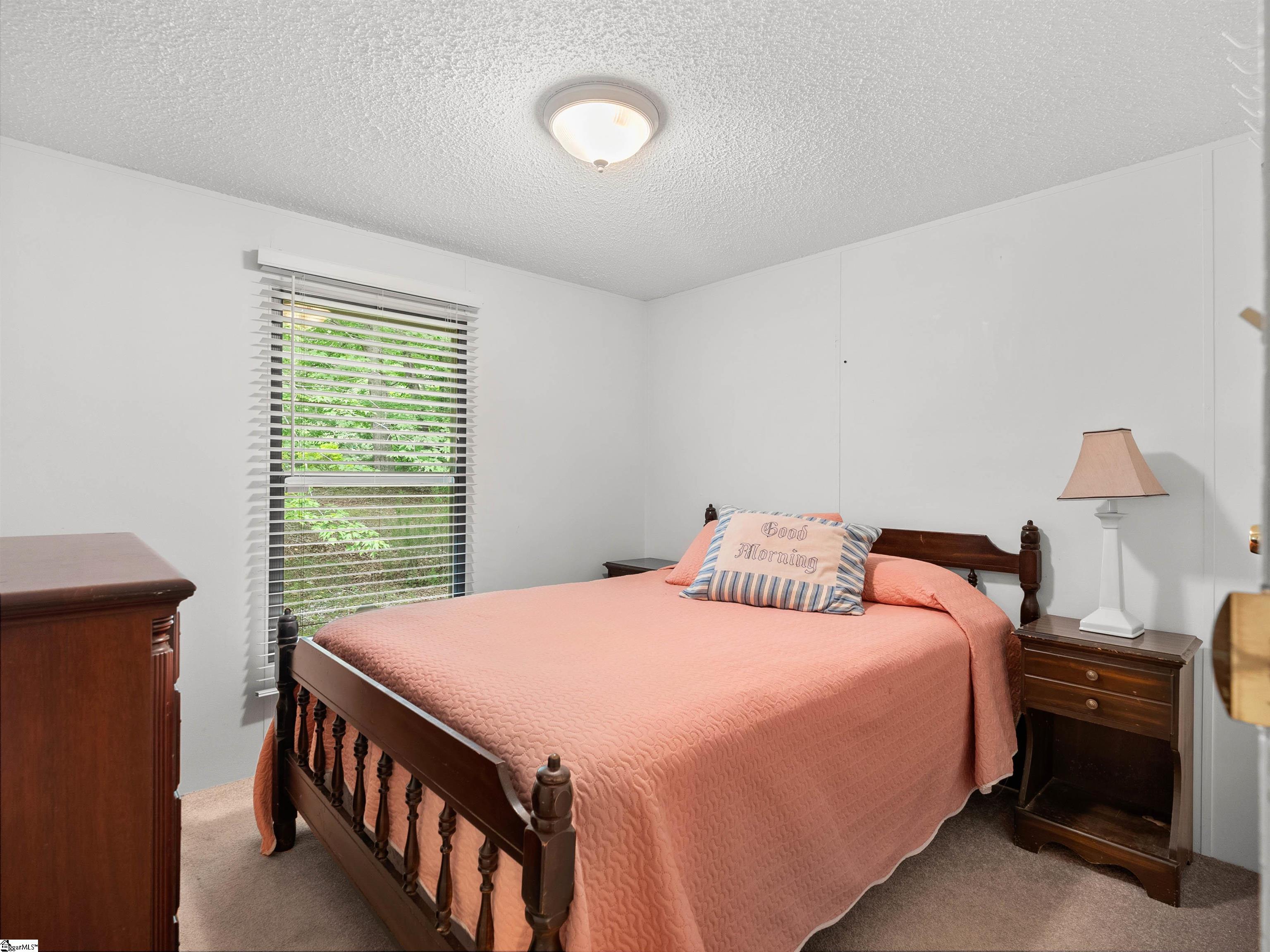 2283 Highway 11, Landrum, South Carolina image 20
