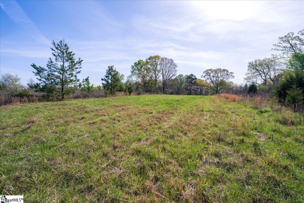 1750 Cannon Bottom, Belton, South Carolina image 4