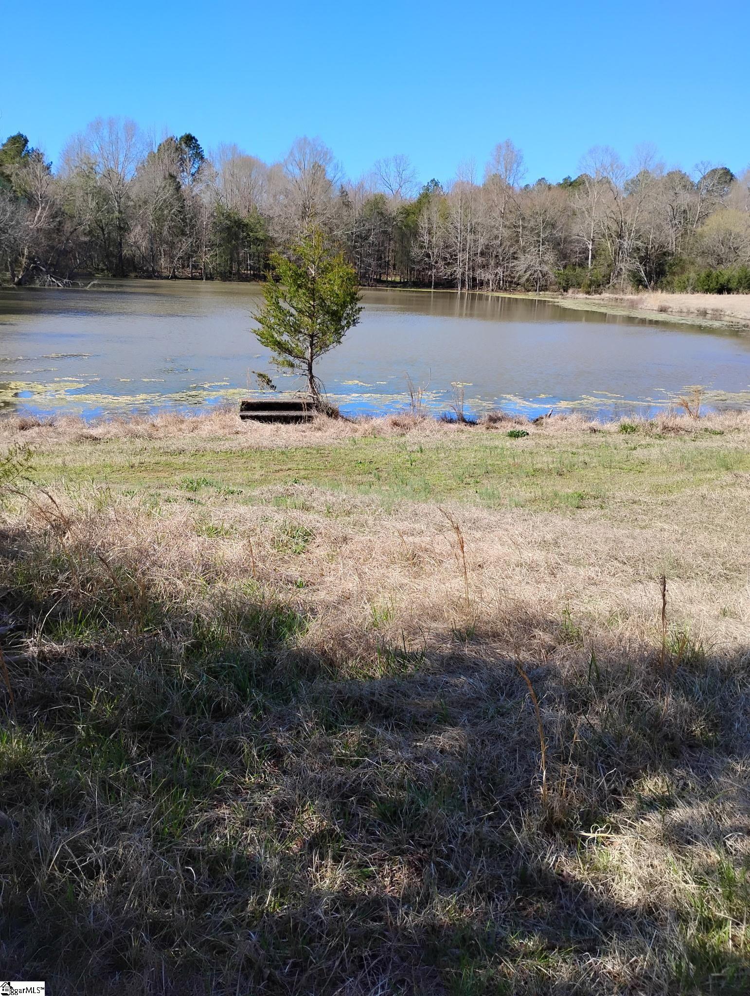 869 Meadowbrook, Chesterfield, South Carolina image 3