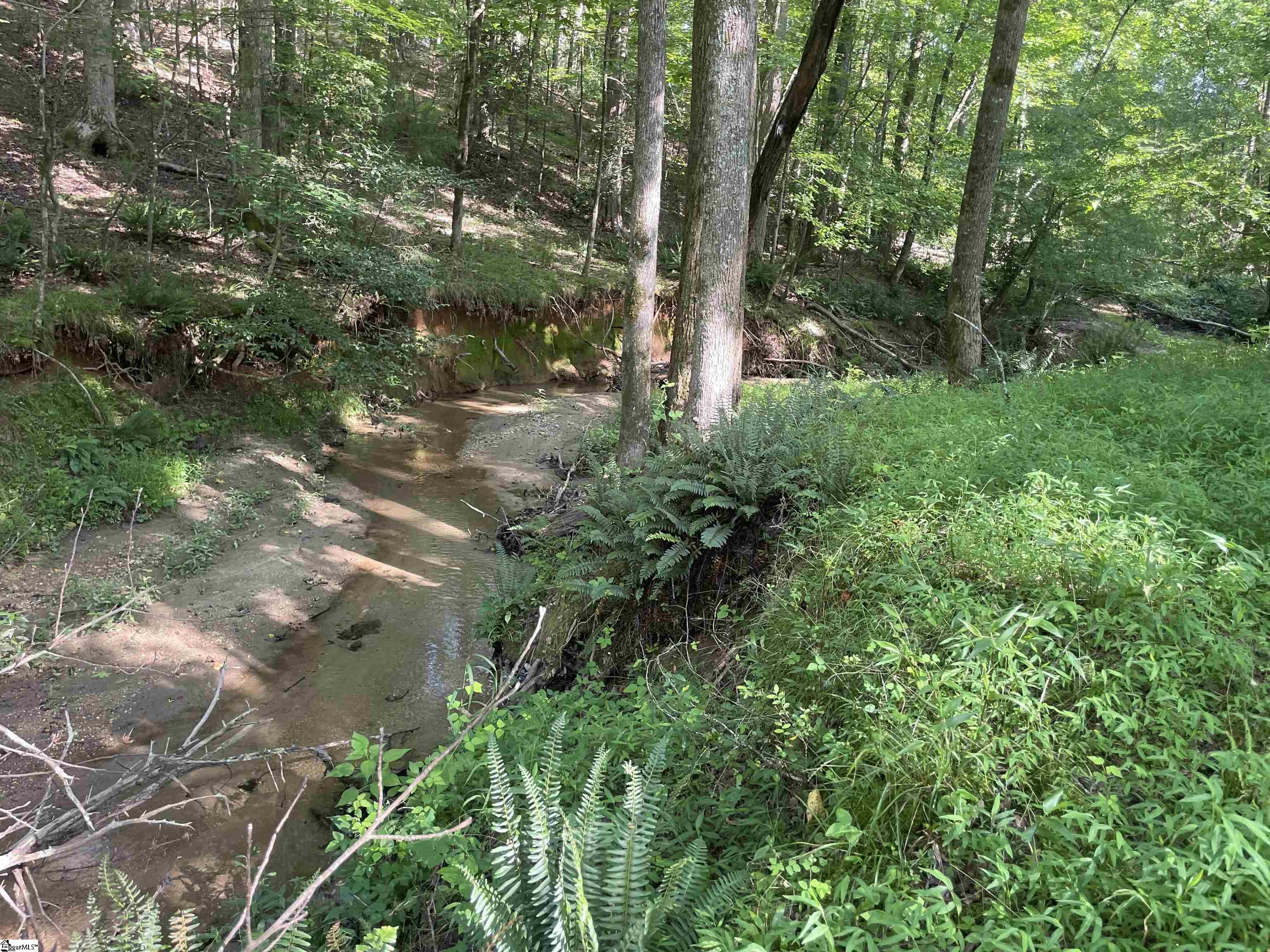 158 Brockeric, Honea Path, South Carolina image 19