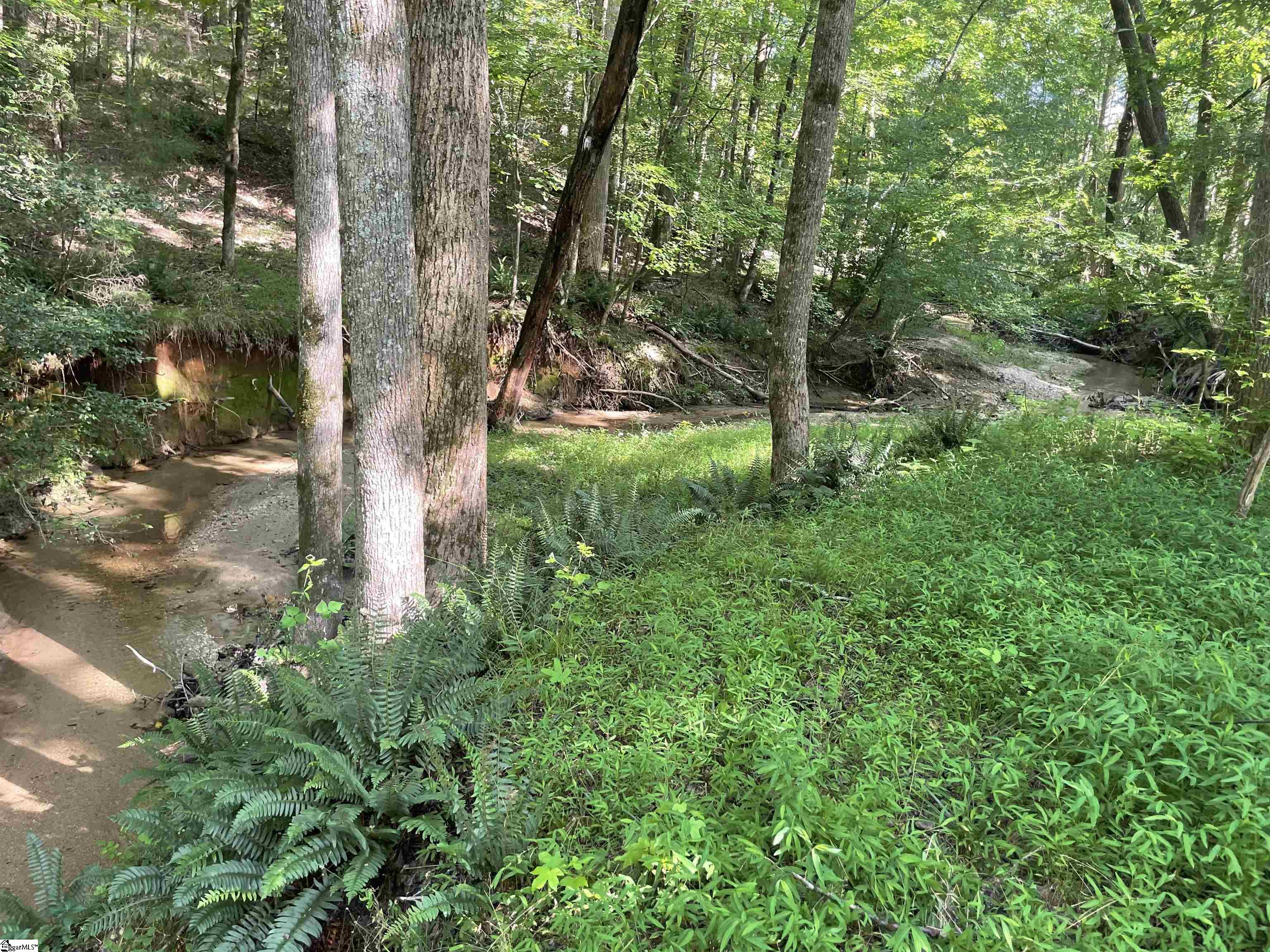 158 Brockeric, Honea Path, South Carolina image 20