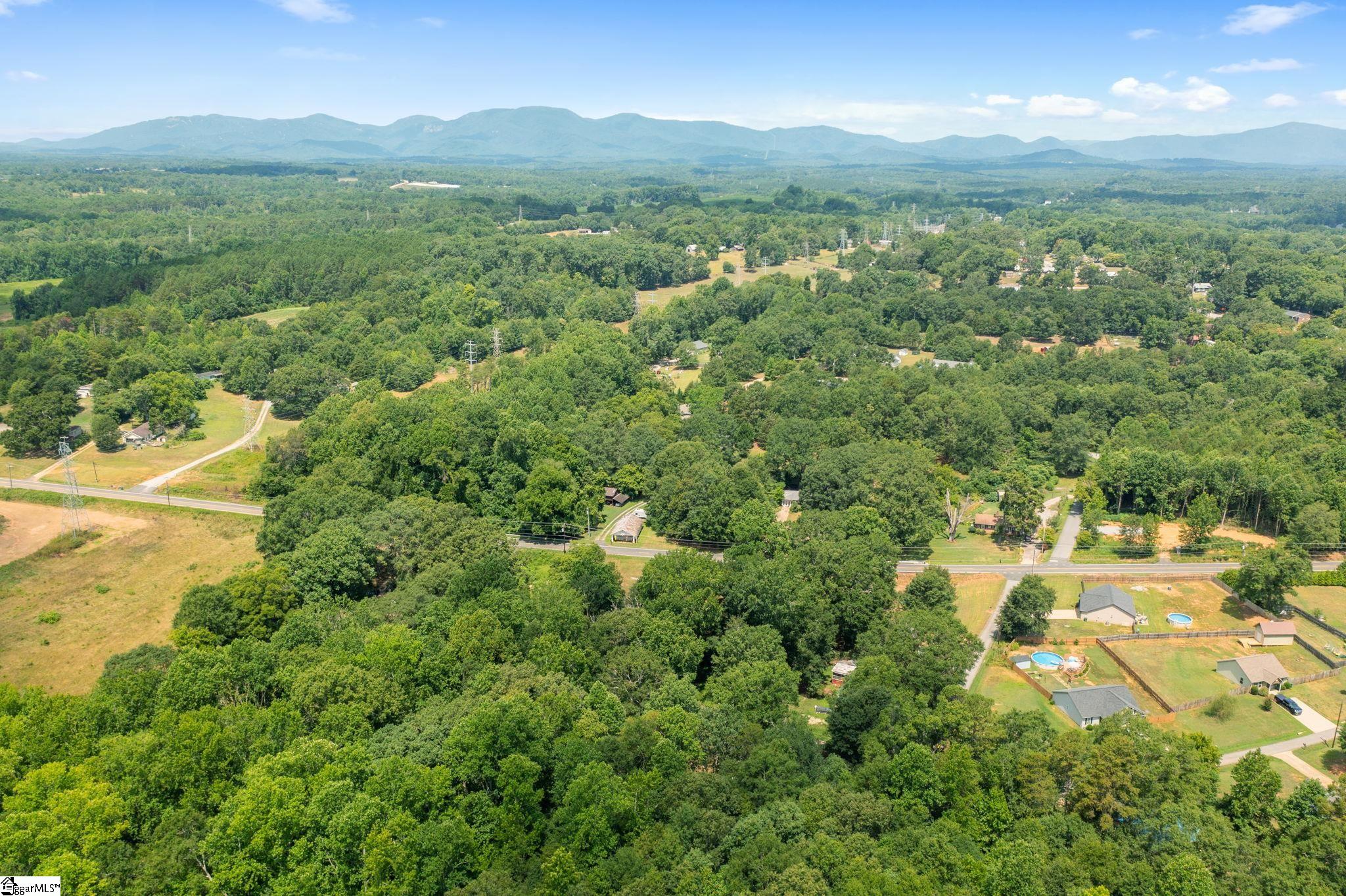 191 Rector, Campobello, South Carolina image 25