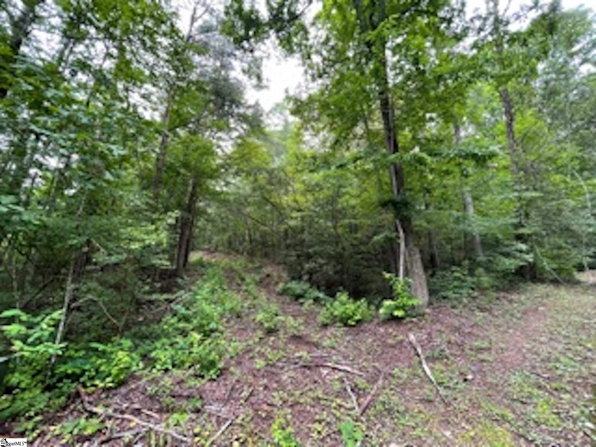 MLS #1565379 image #1