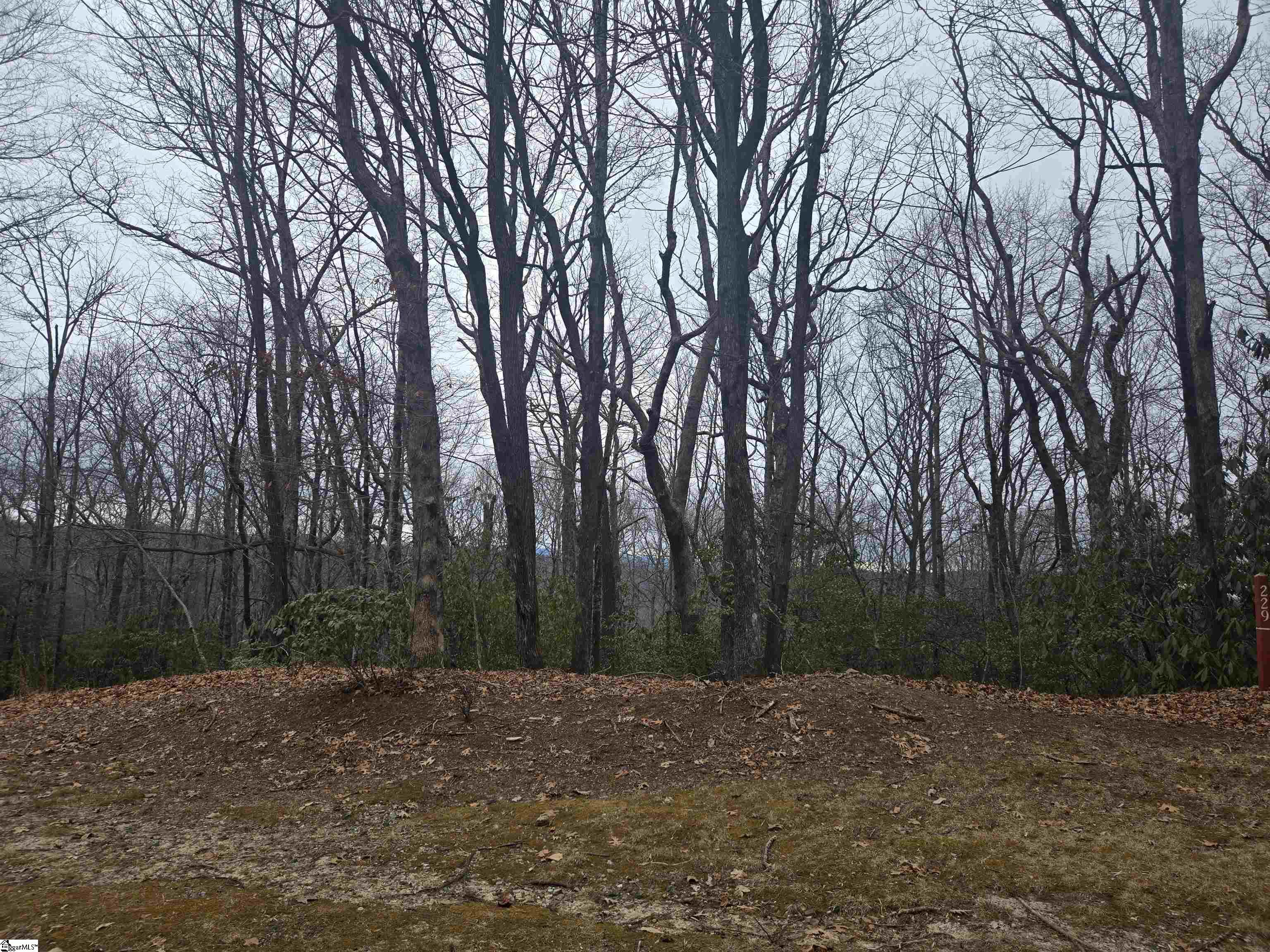 Homes for sale in Cleveland, SC | 609 Cliff Ridge Dr, Cleveland, SC 29635 | MLS# 1565476