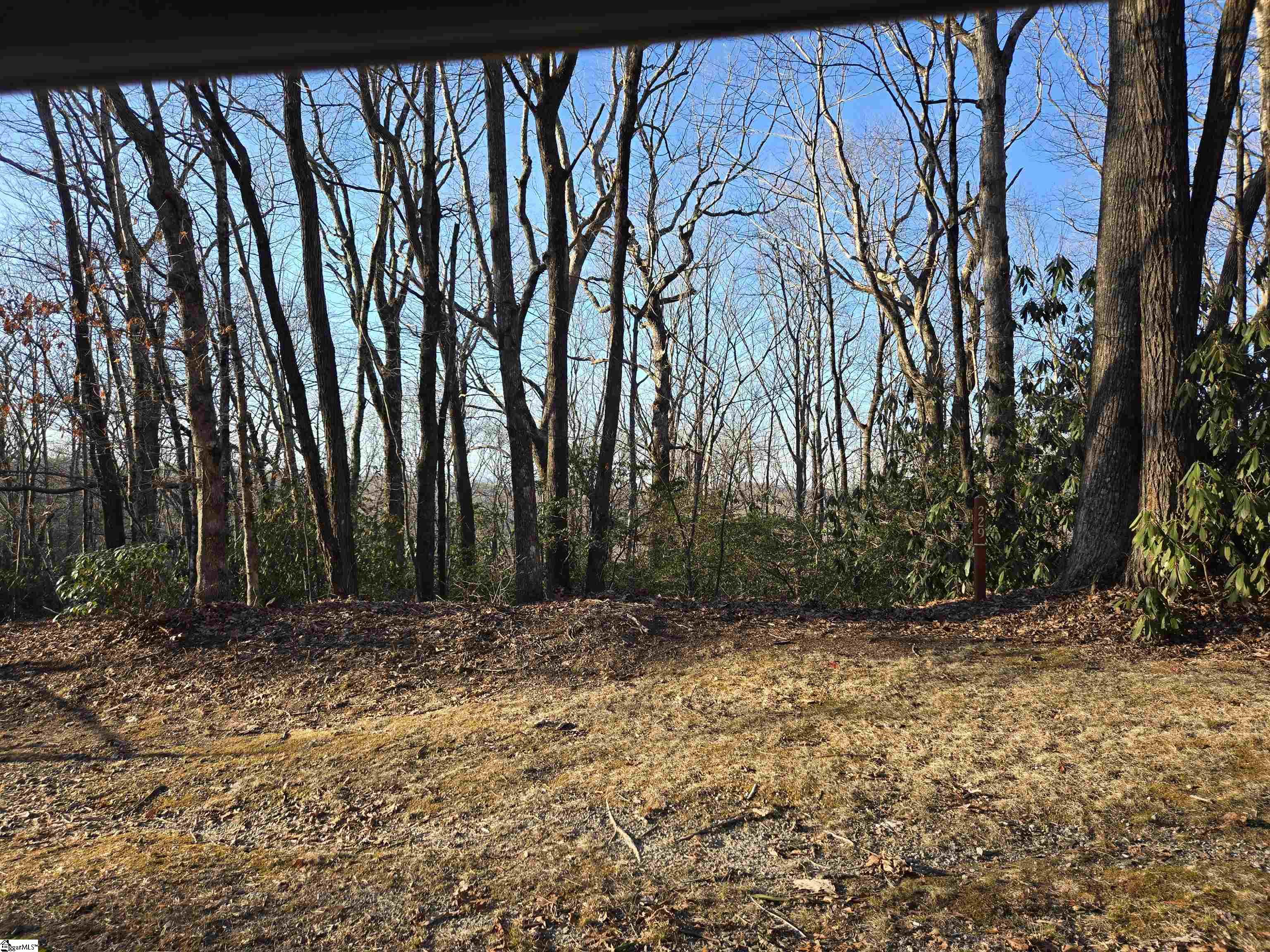 Homes for sale in Cleveland, SC | 609 Cliff Ridge Dr, Cleveland, SC 29635 | MLS# 1565476