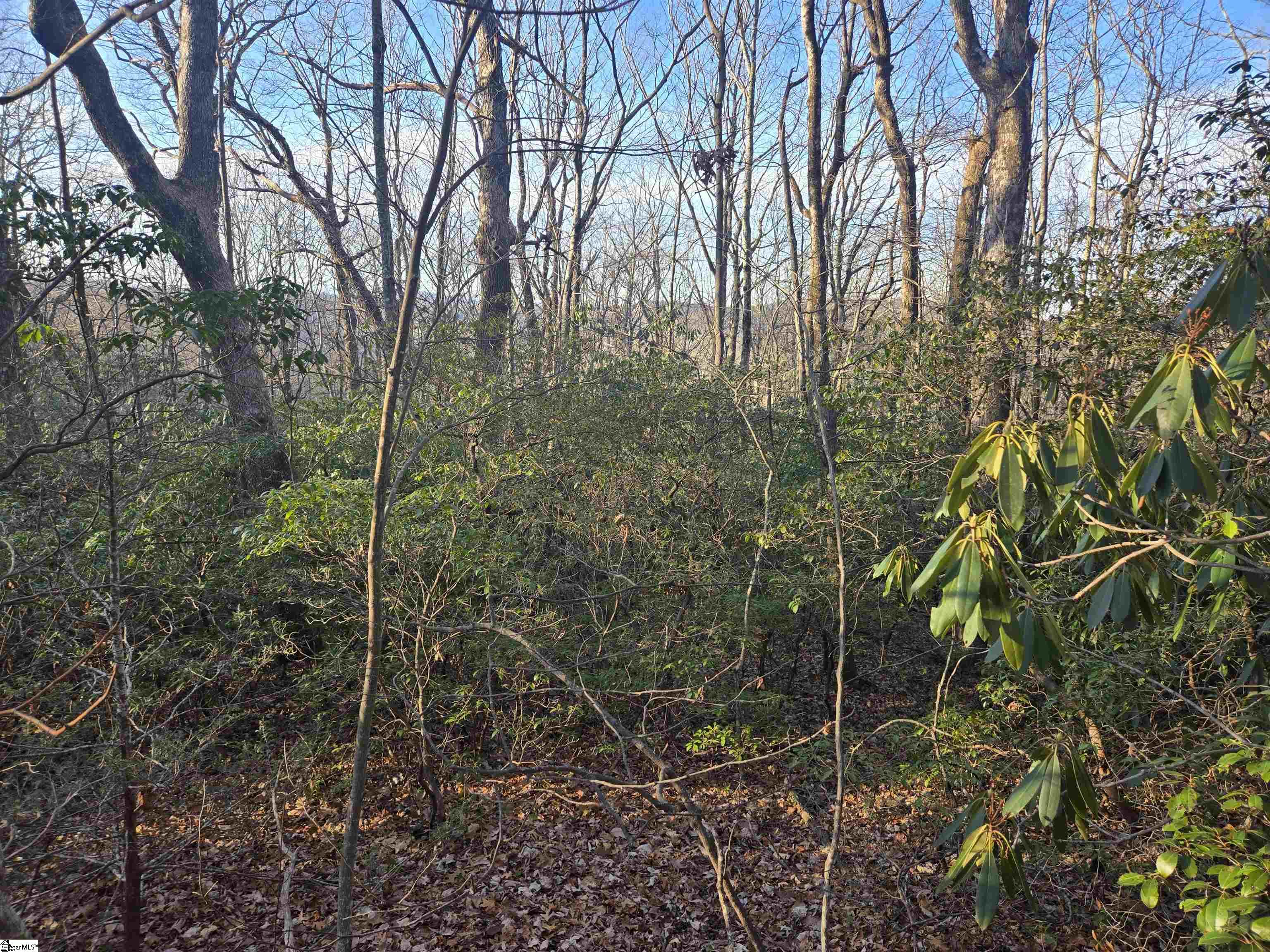 Homes for sale in Cleveland, SC | 609 Cliff Ridge Dr, Cleveland, SC 29635 | MLS# 1565476