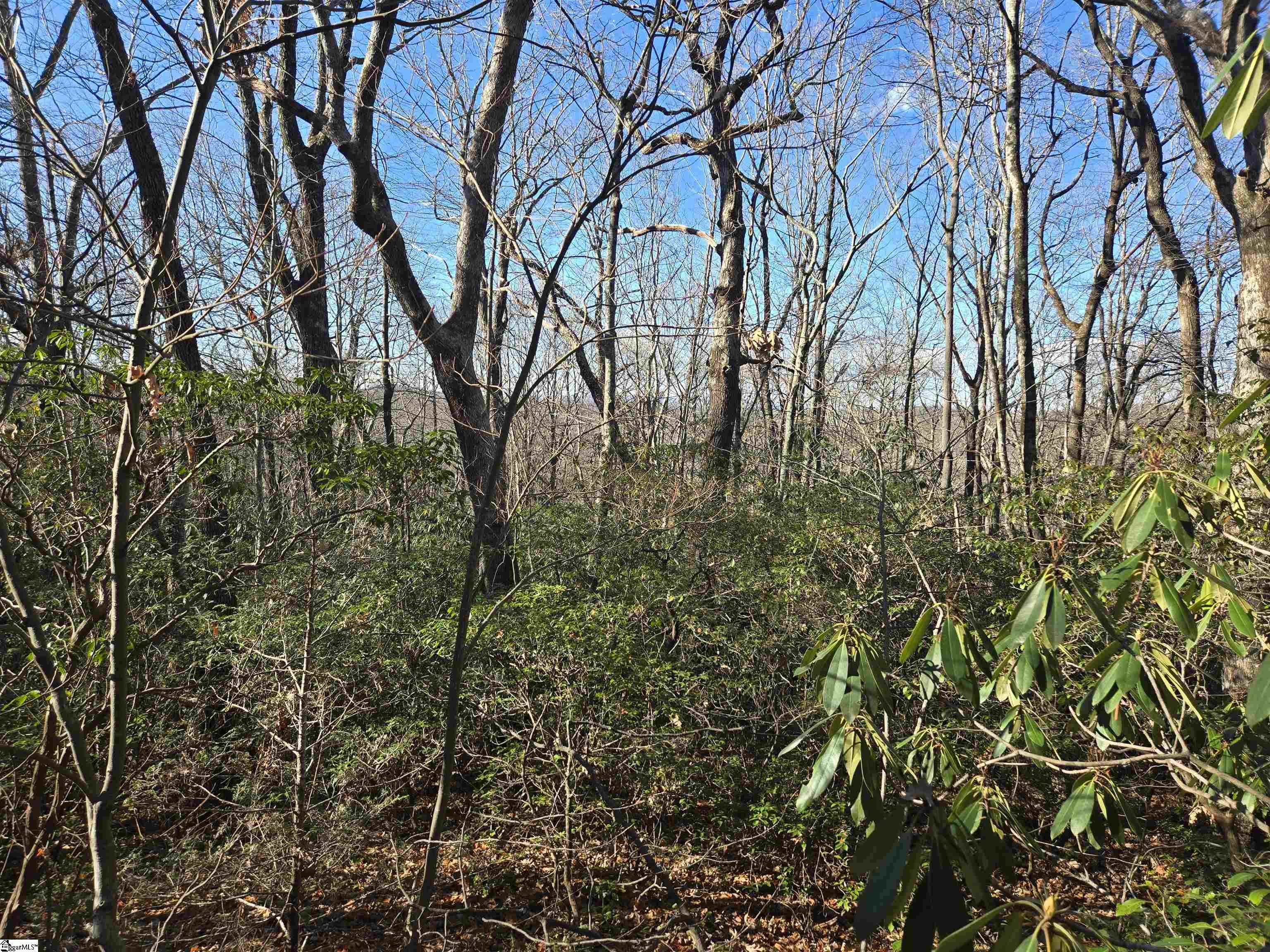 Homes for sale in Cleveland, SC | 609 Cliff Ridge Dr, Cleveland, SC 29635 | MLS# 1565476