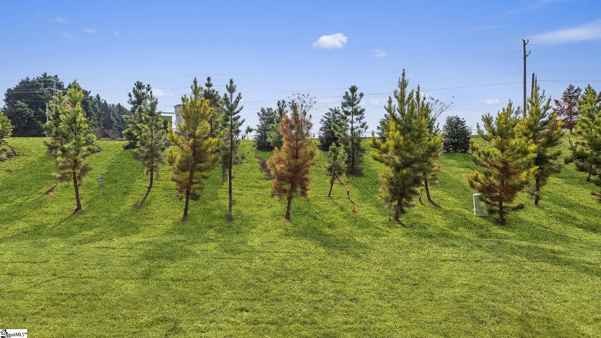 MLS #1566176 image #31