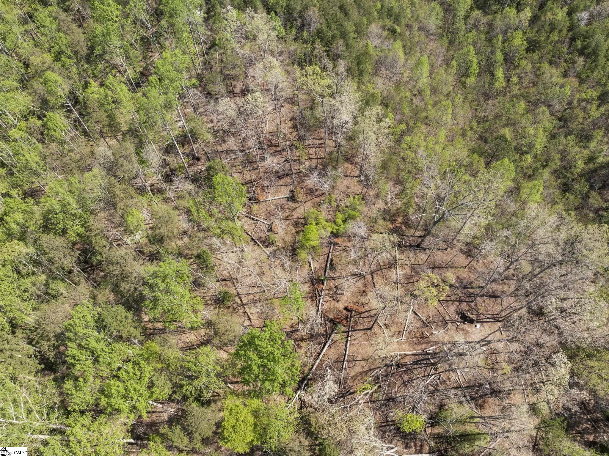 MLS #1566269 image #43