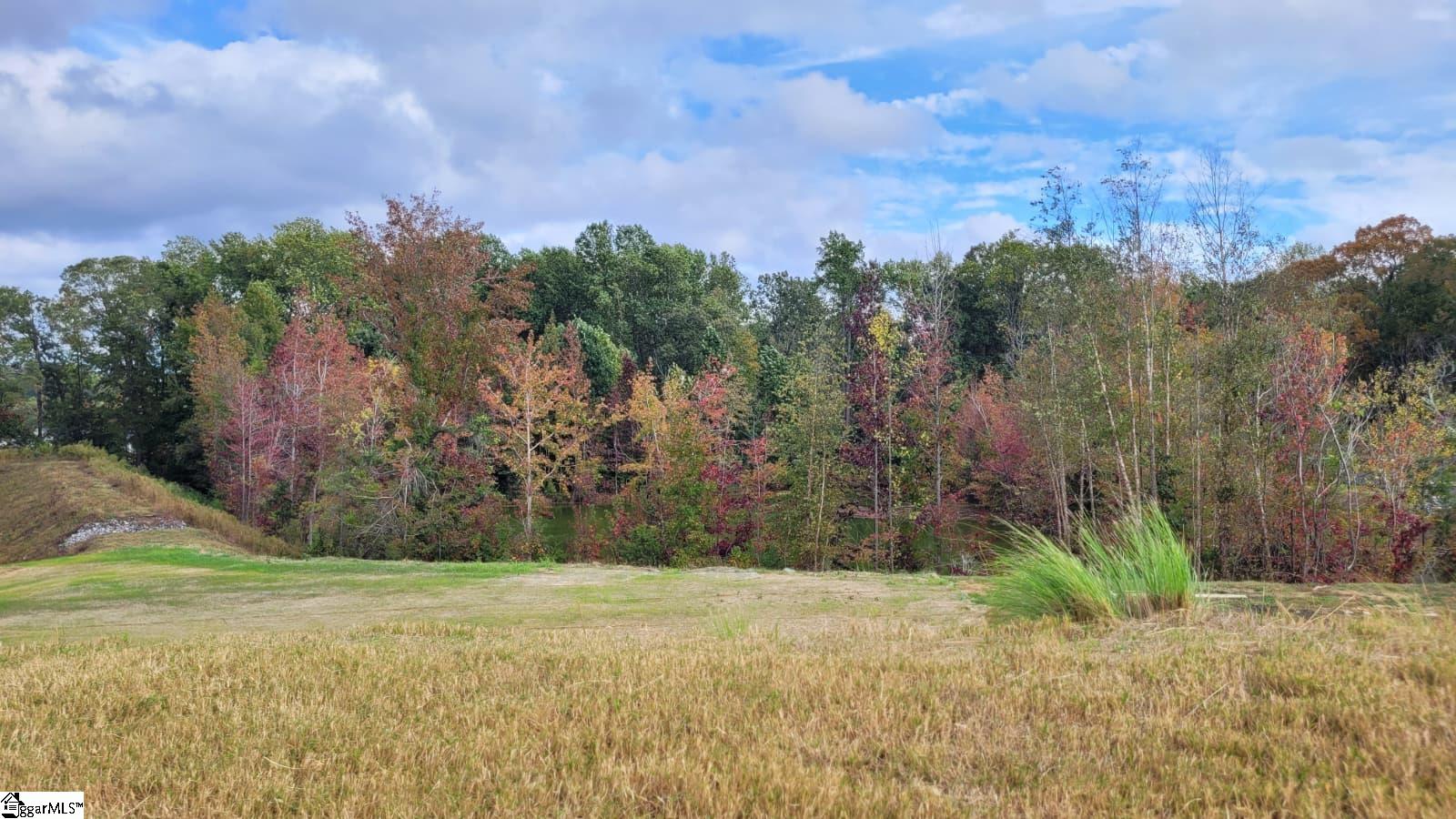 MLS #1566900 image #45