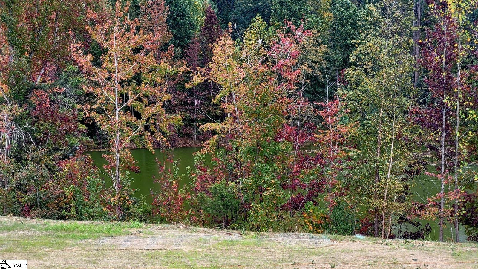 MLS #1566900 image #46