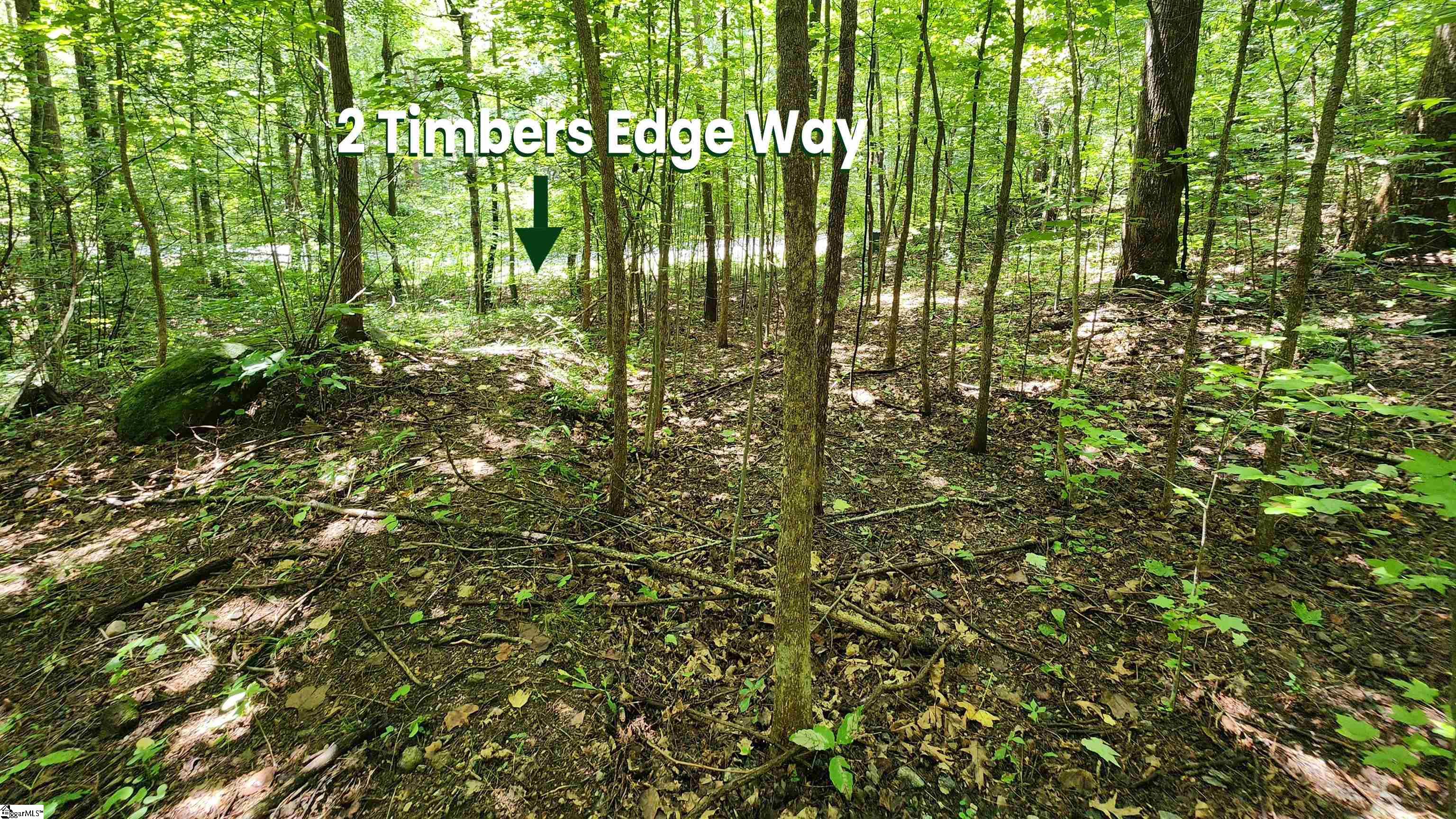 MLS #1568014 image #12