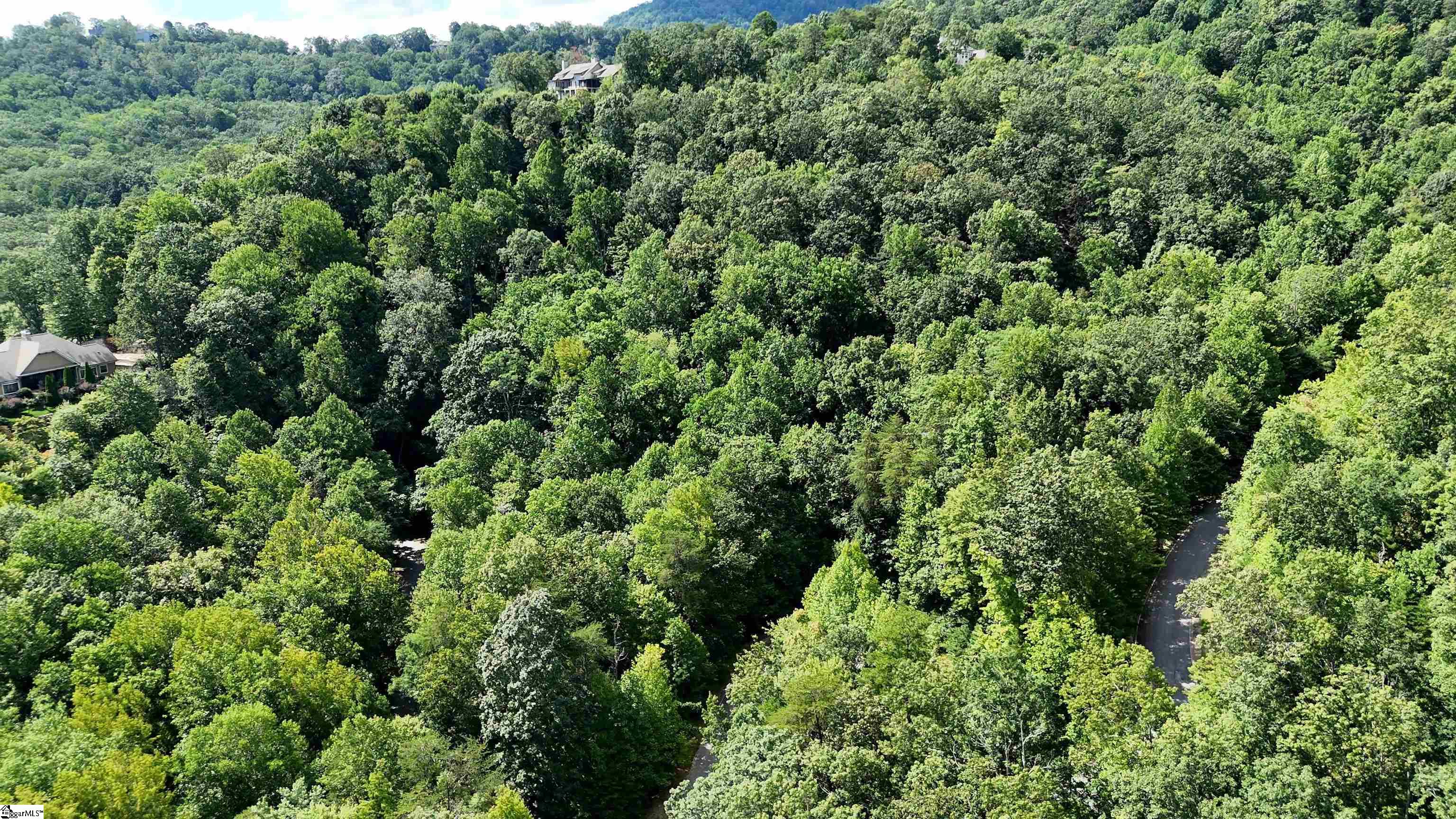 MLS #1568014 image #2