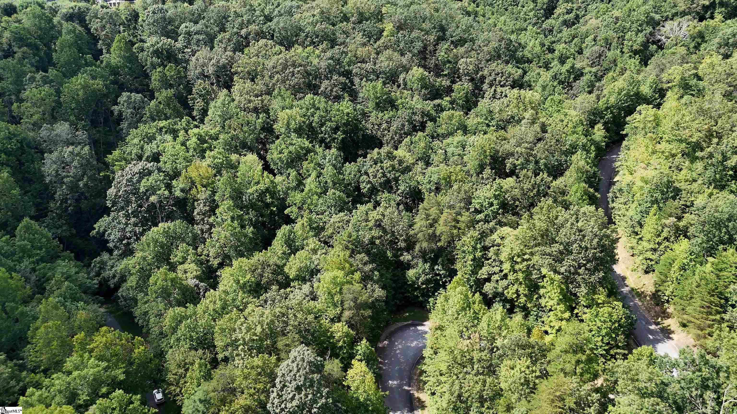 MLS #1568014 image #5