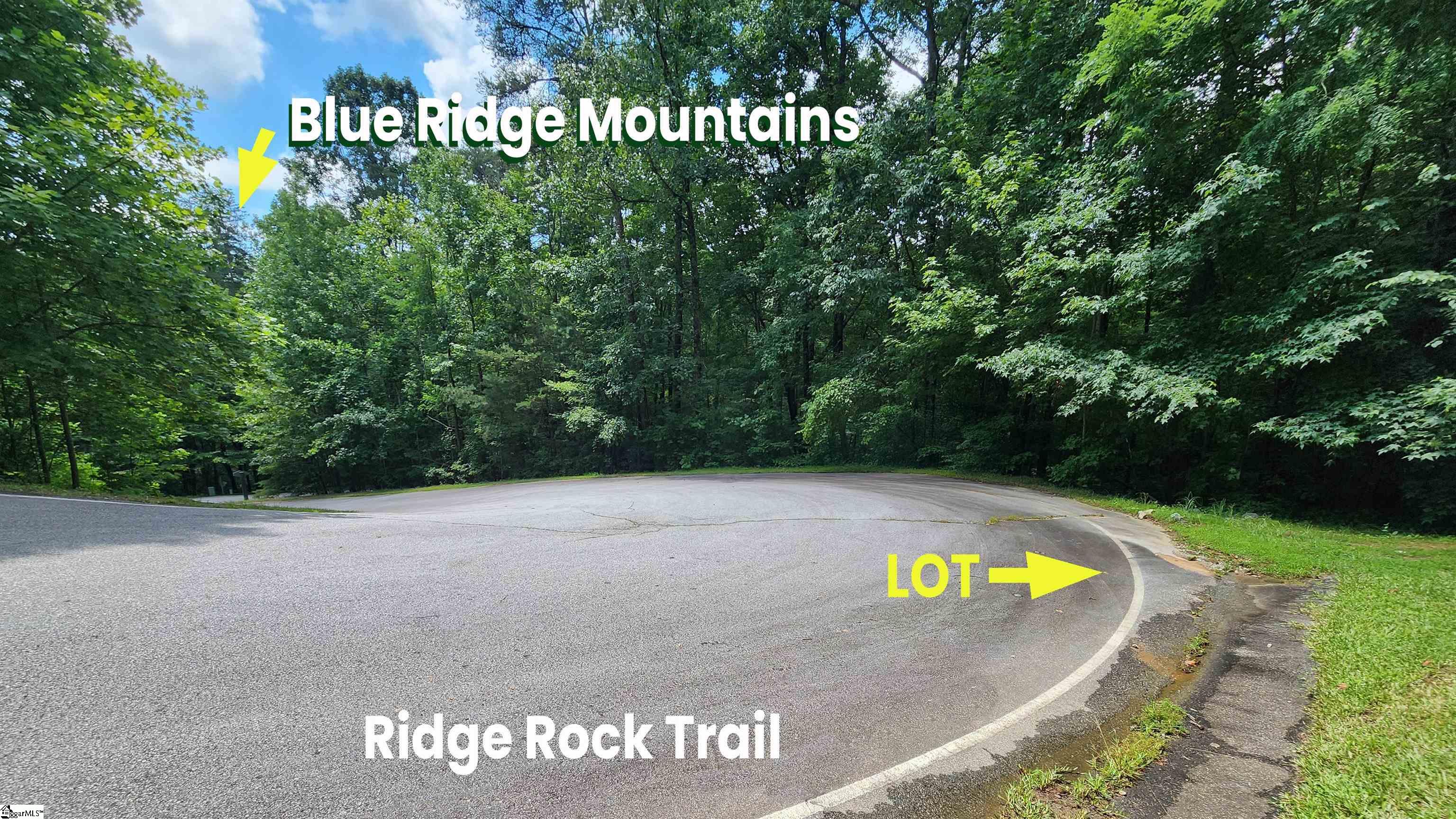 MLS #1568014 image #9