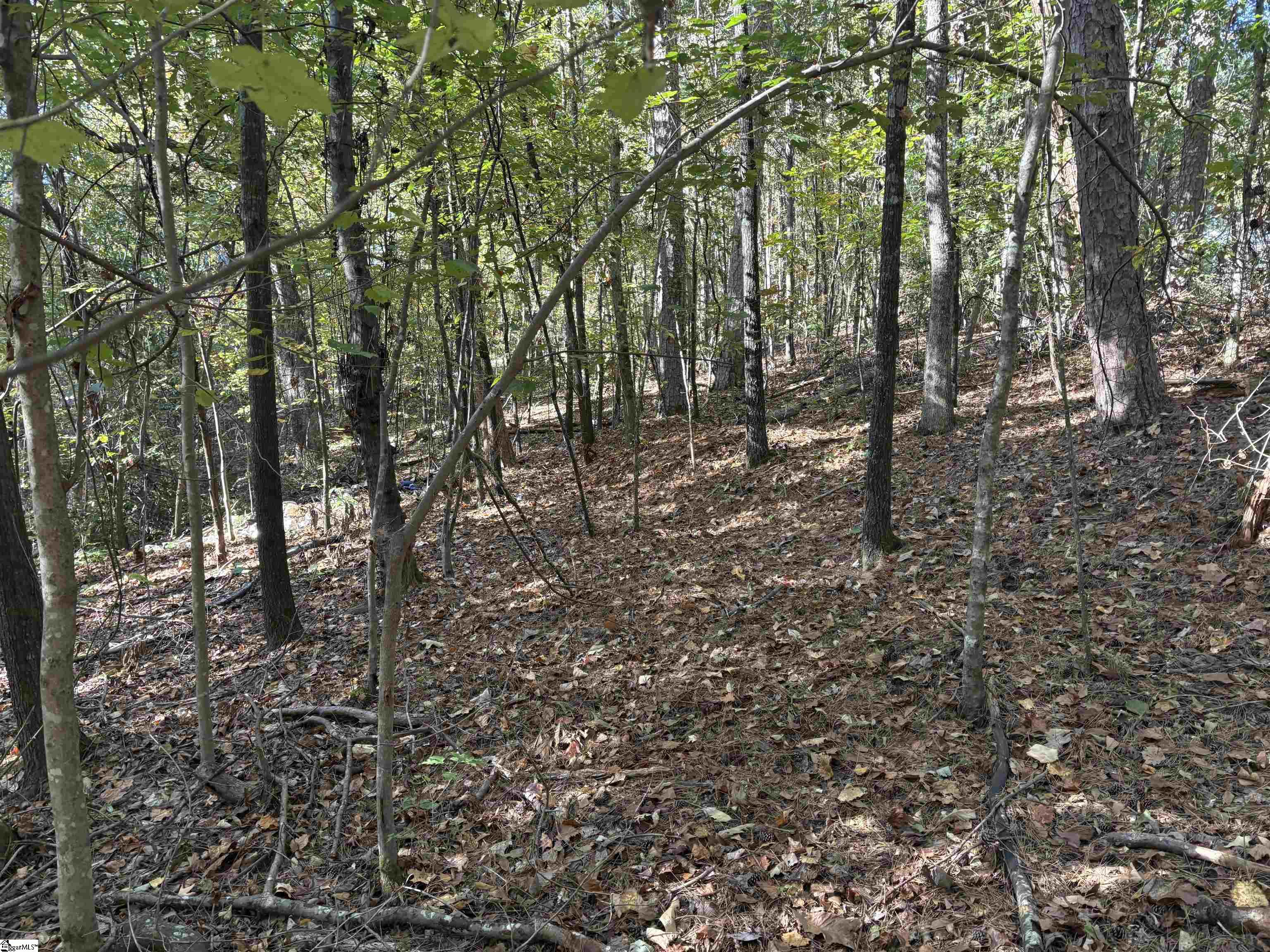 MLS #1568372 image #11