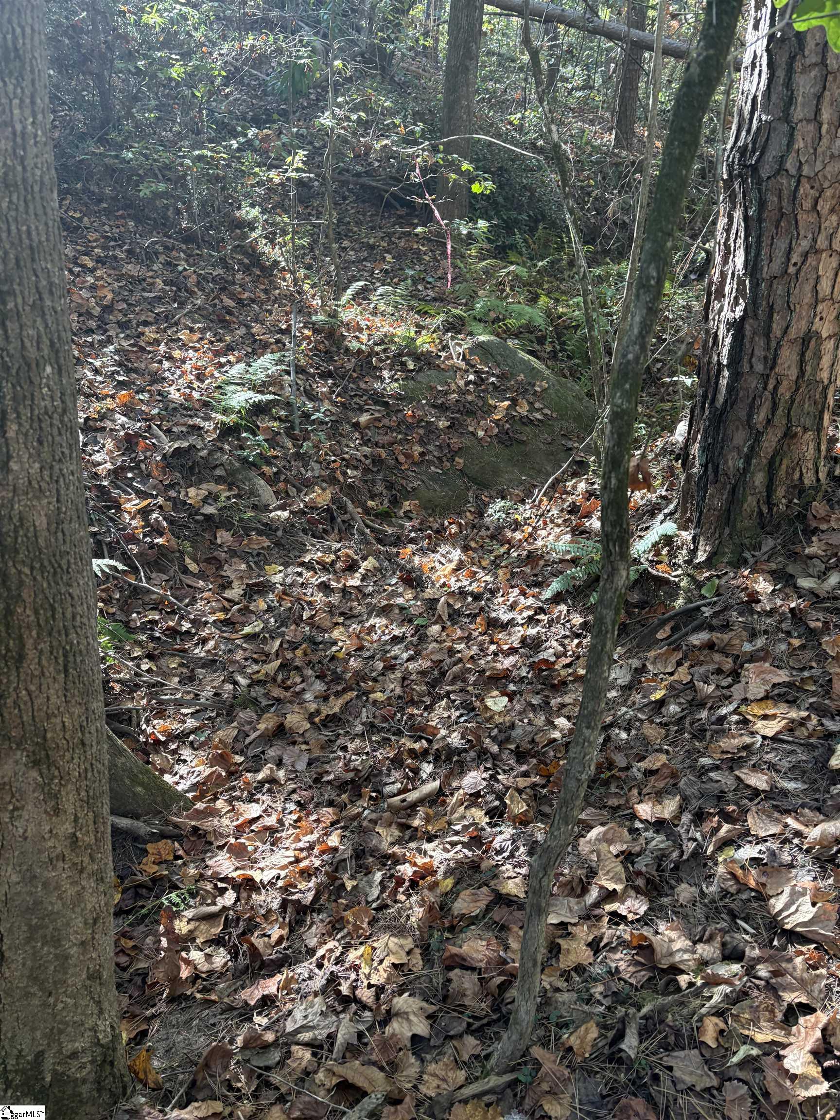 MLS #1568373 image #11