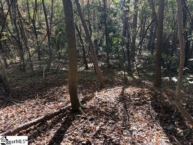 MLS #1568373 image #12