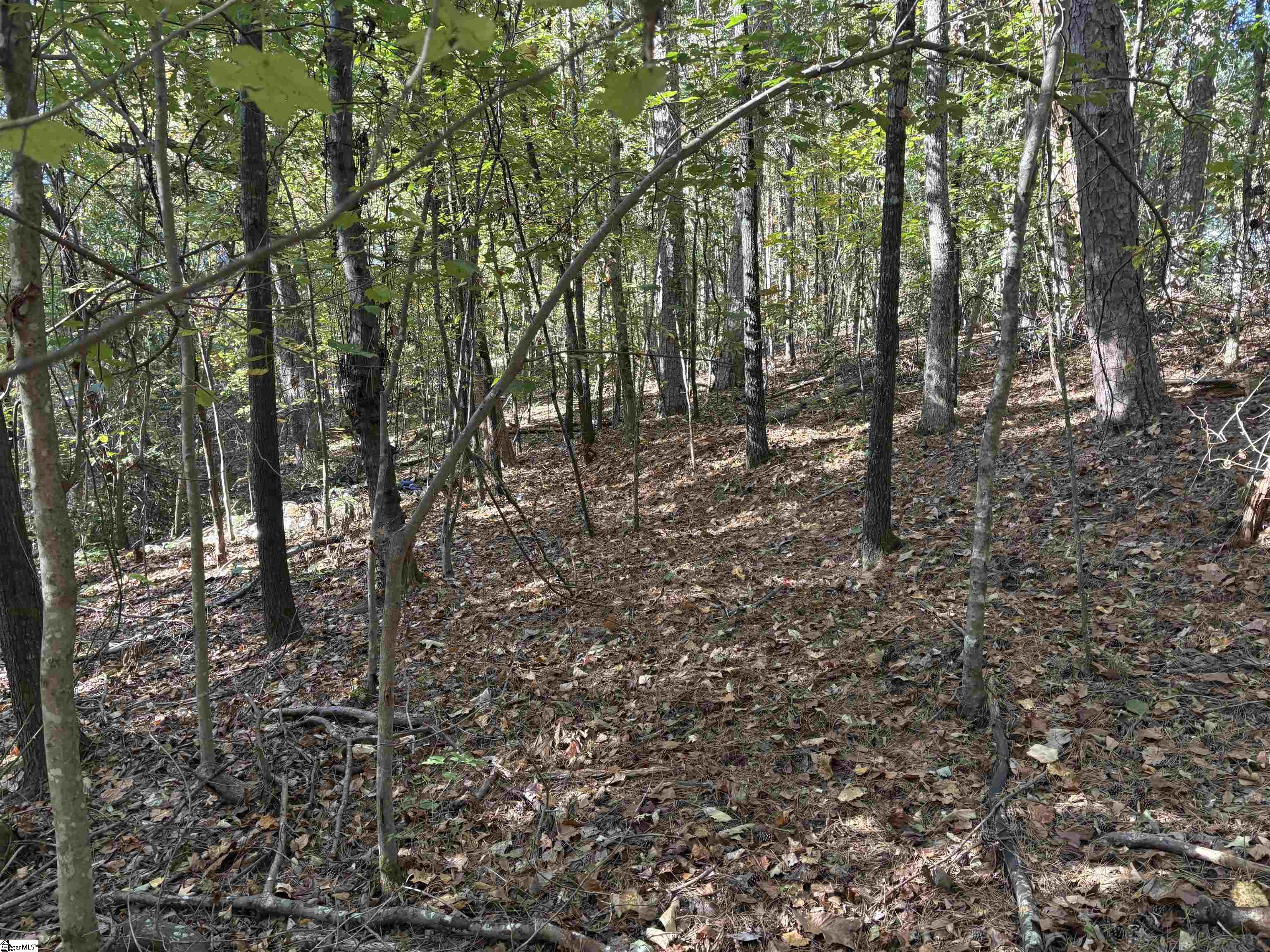 MLS #1568373 image #13