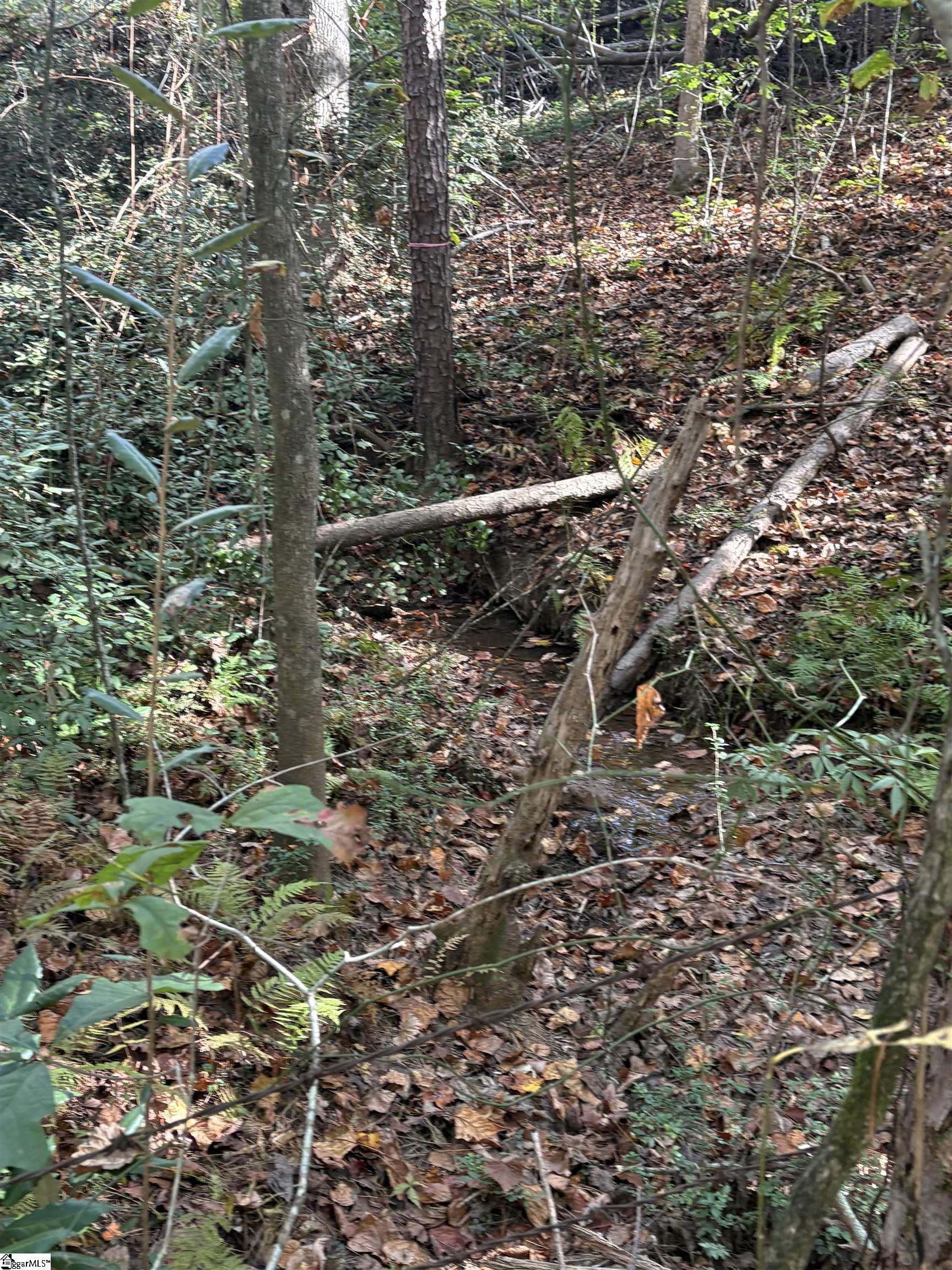 MLS #1568373 image #14