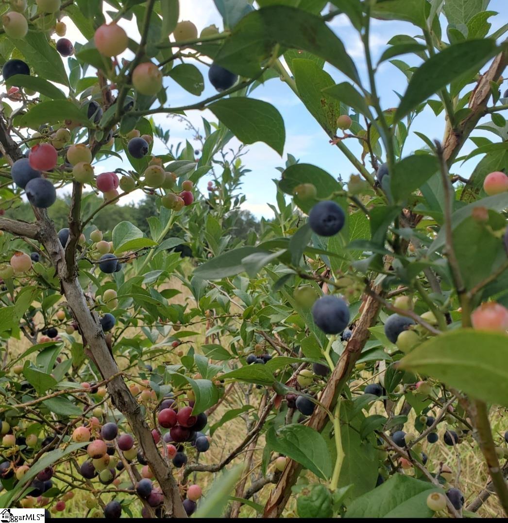 MLS #1568678 image #14