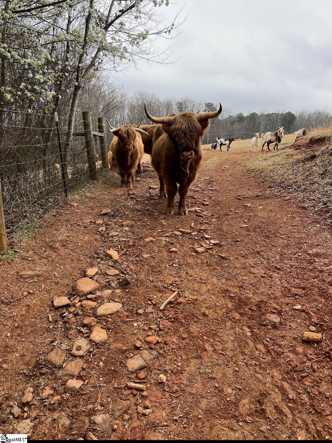 MLS #1568709 image #29