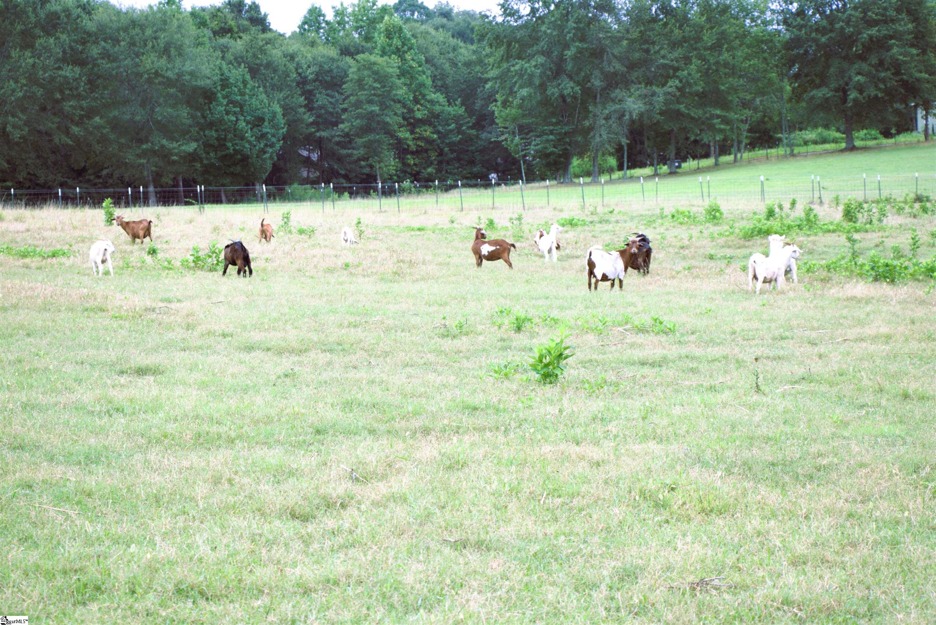 MLS #1568709 image #31