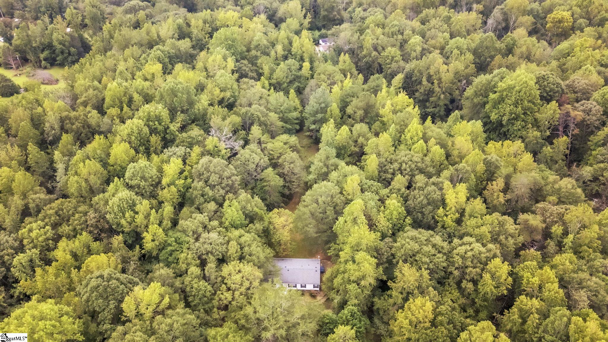 MLS #1568908 image #18