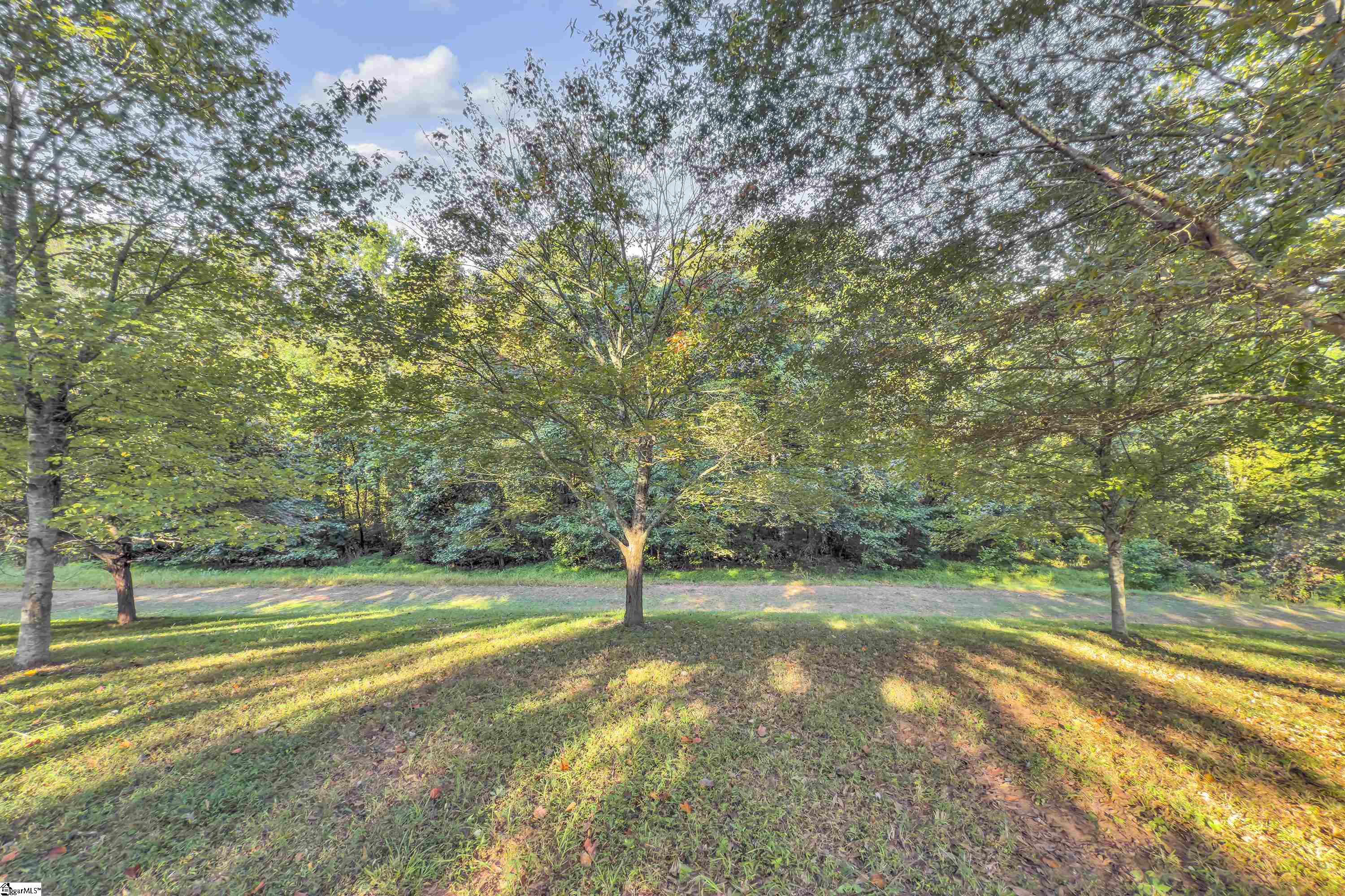 MLS #1569492 image #30