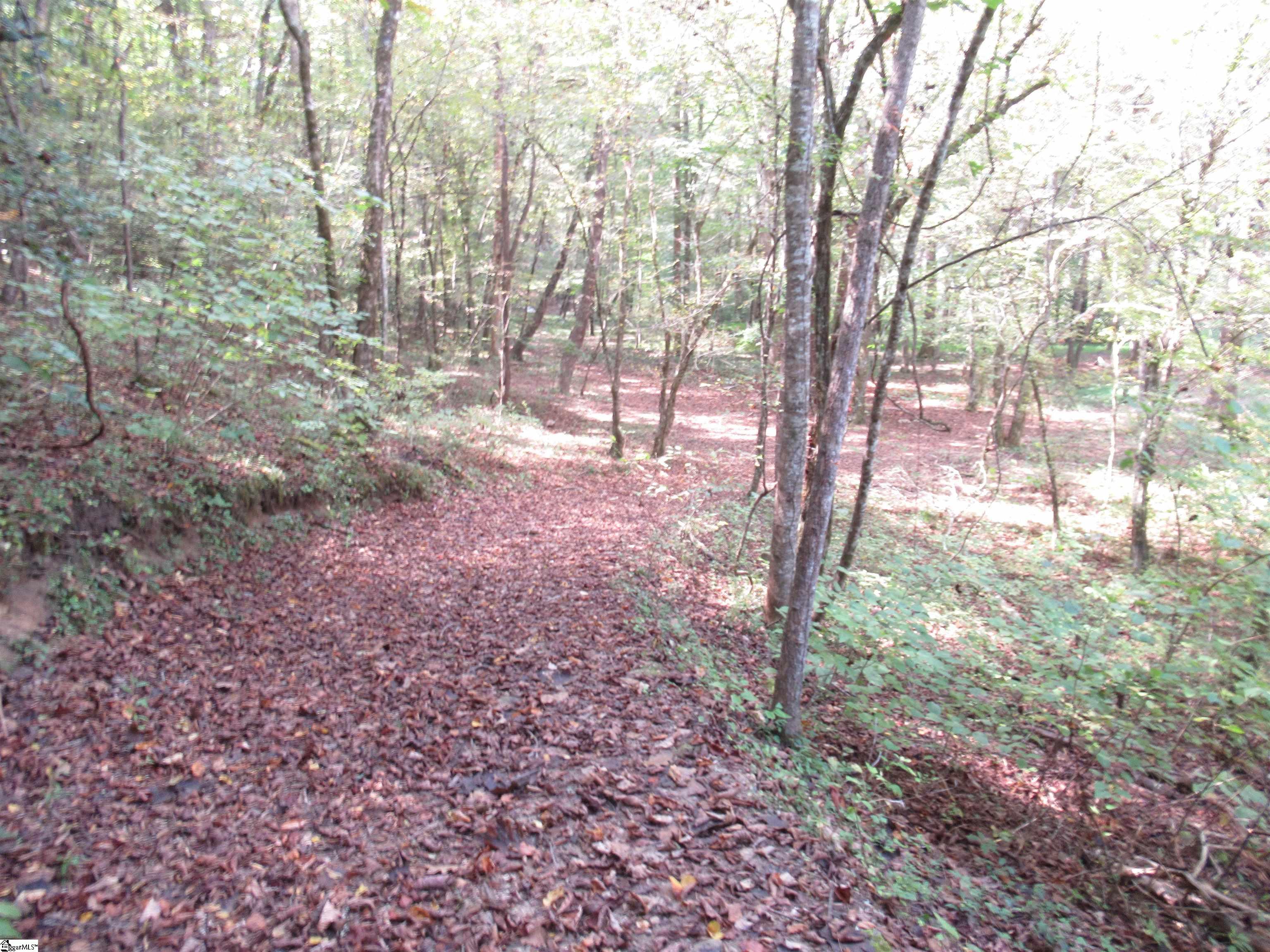 MLS #1570315 image #28