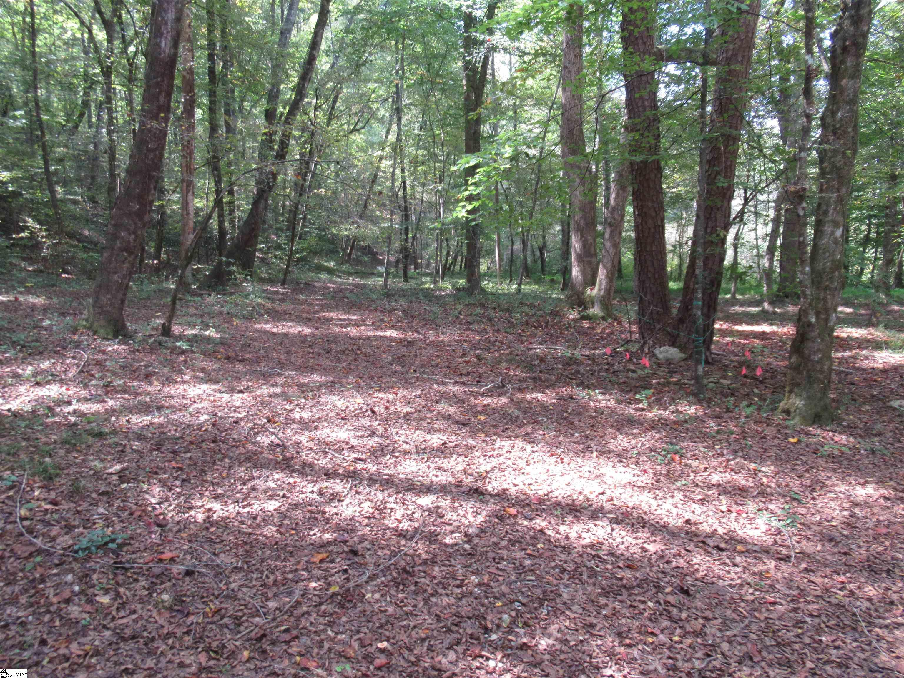 MLS #1570315 image #32