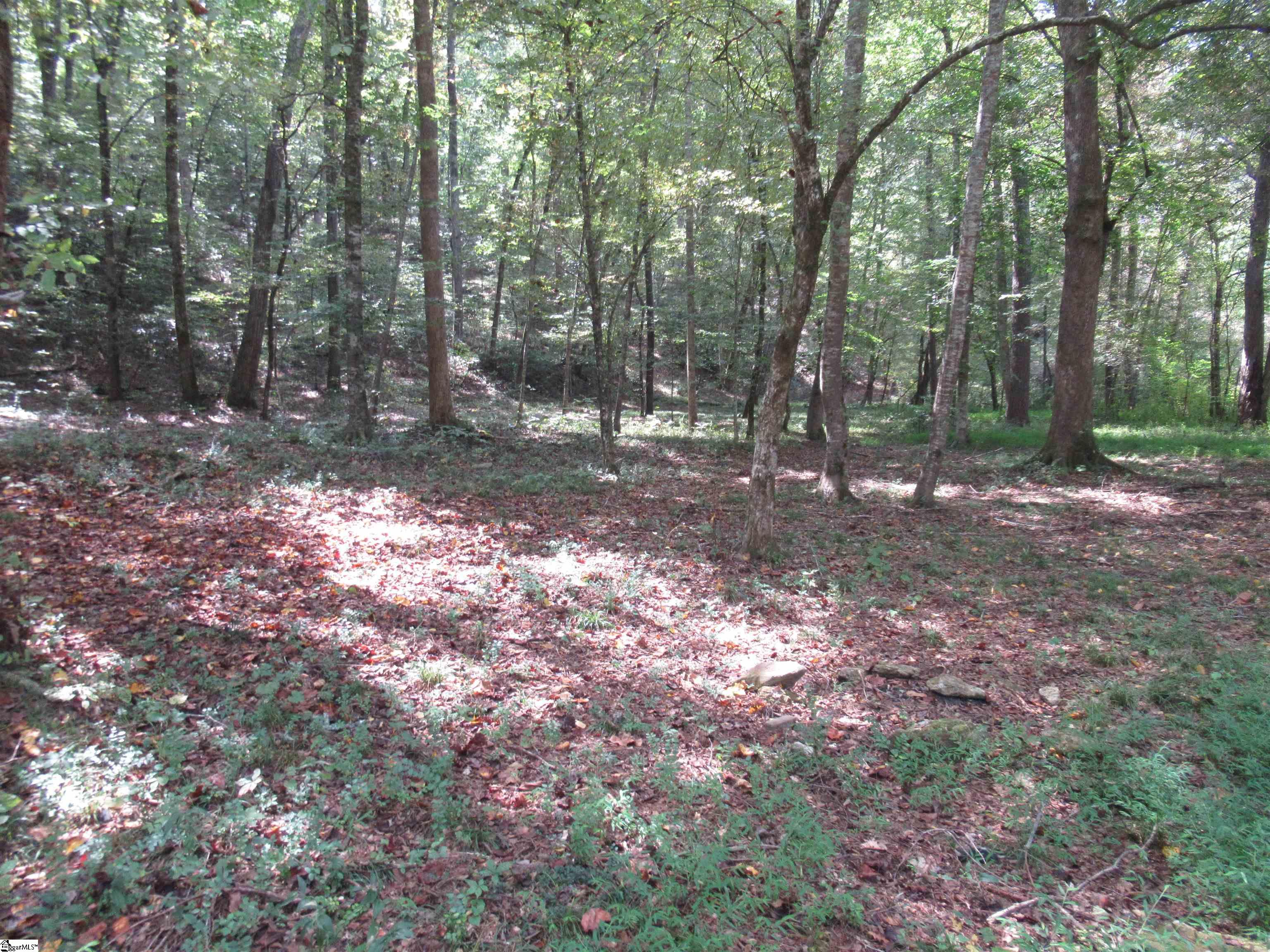 MLS #1570315 image #34