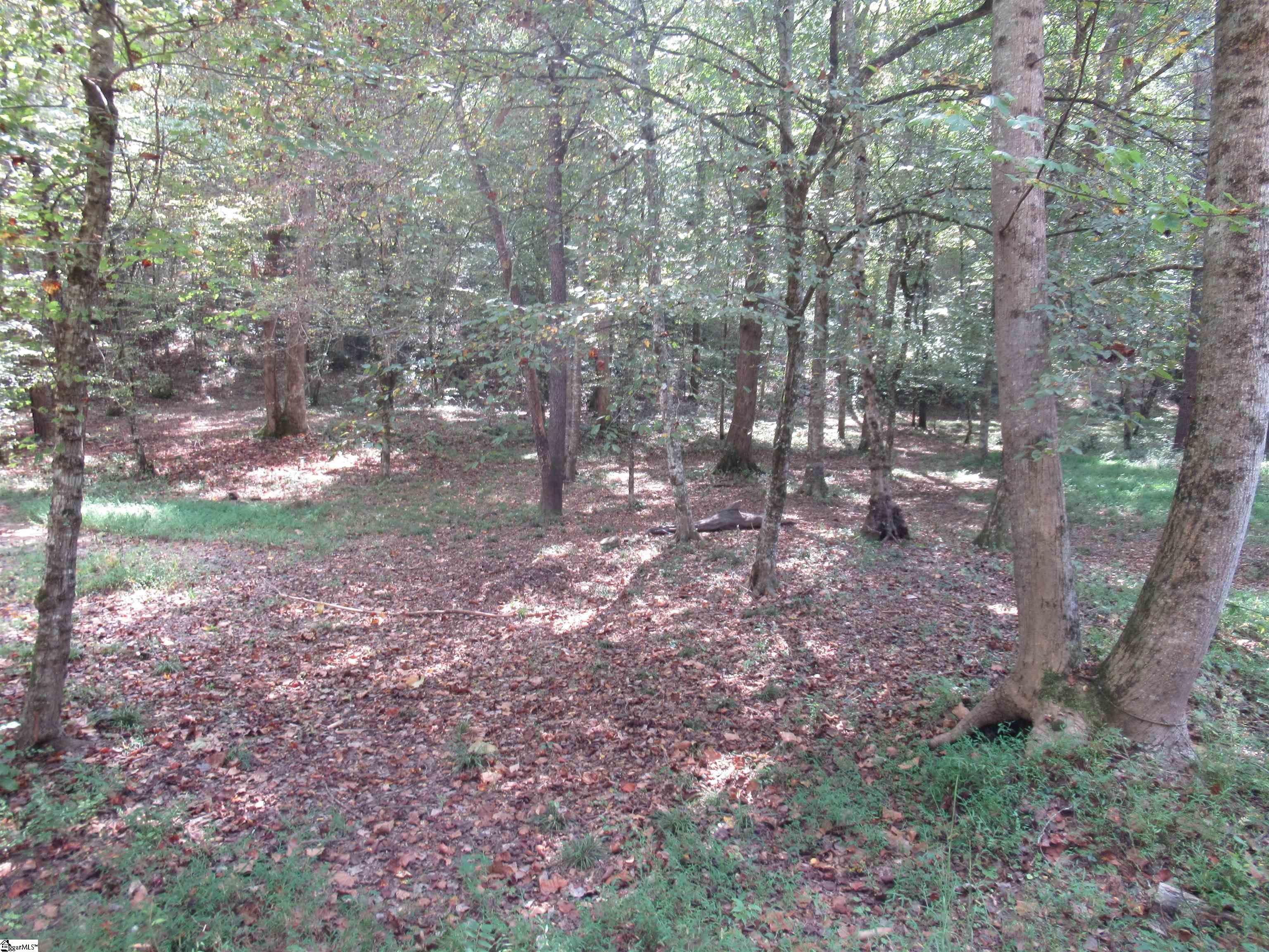 MLS #1570315 image #39