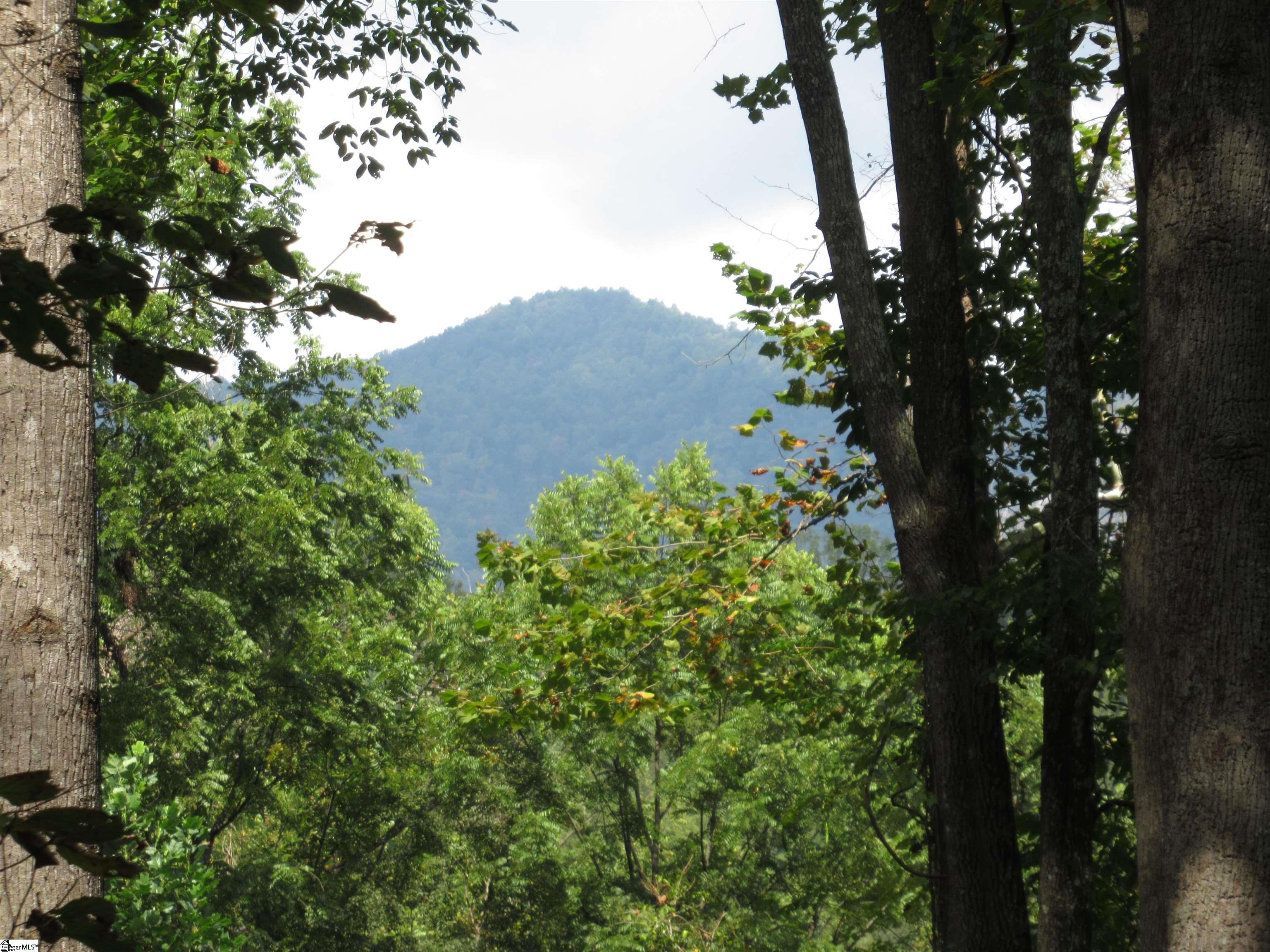 MLS #1570315 image #45