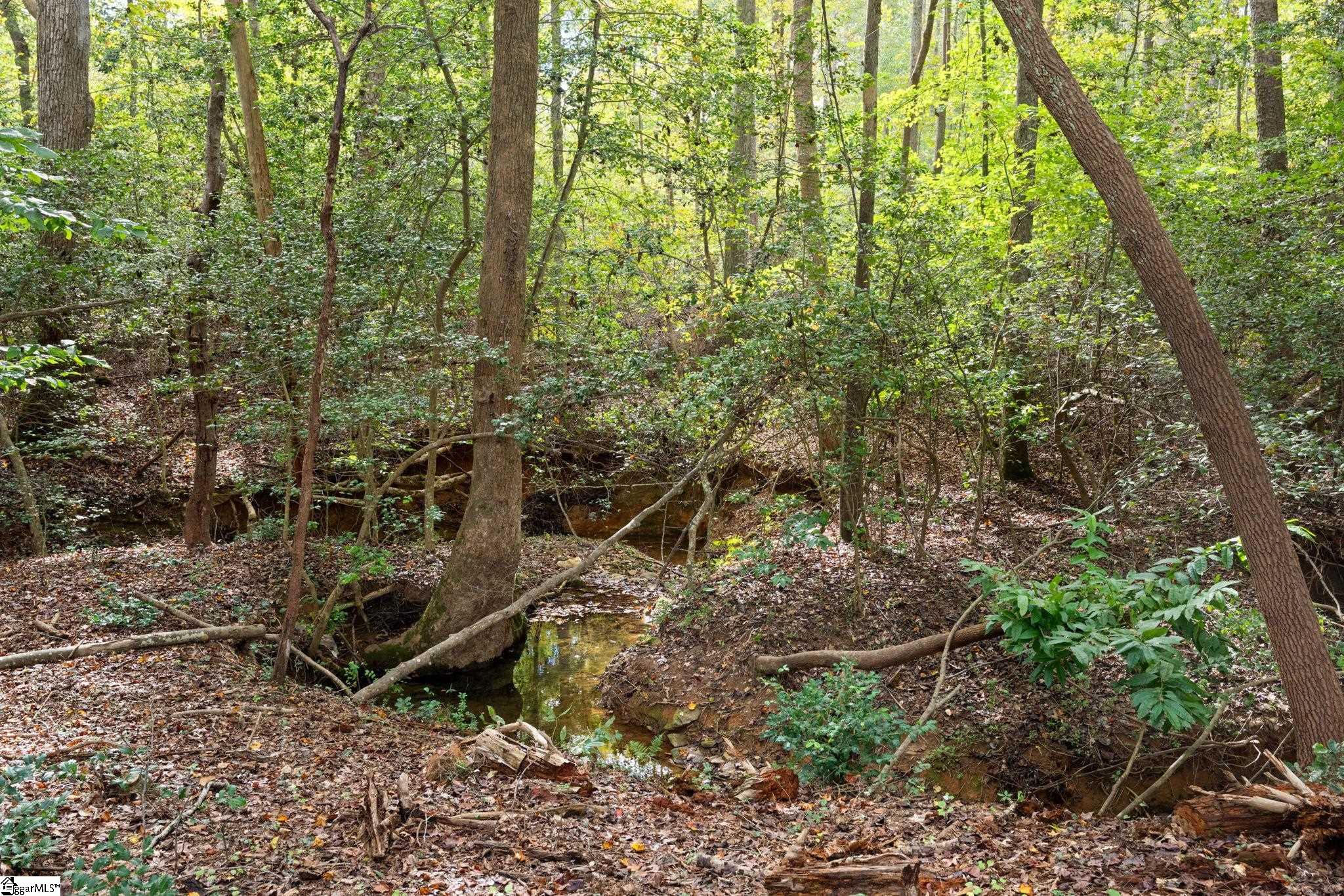 MLS #1571002 image #29